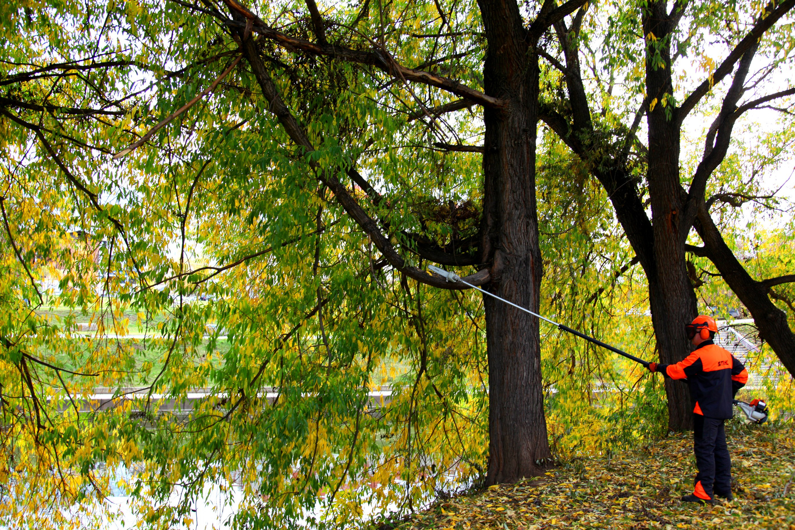 Фото для сайта 