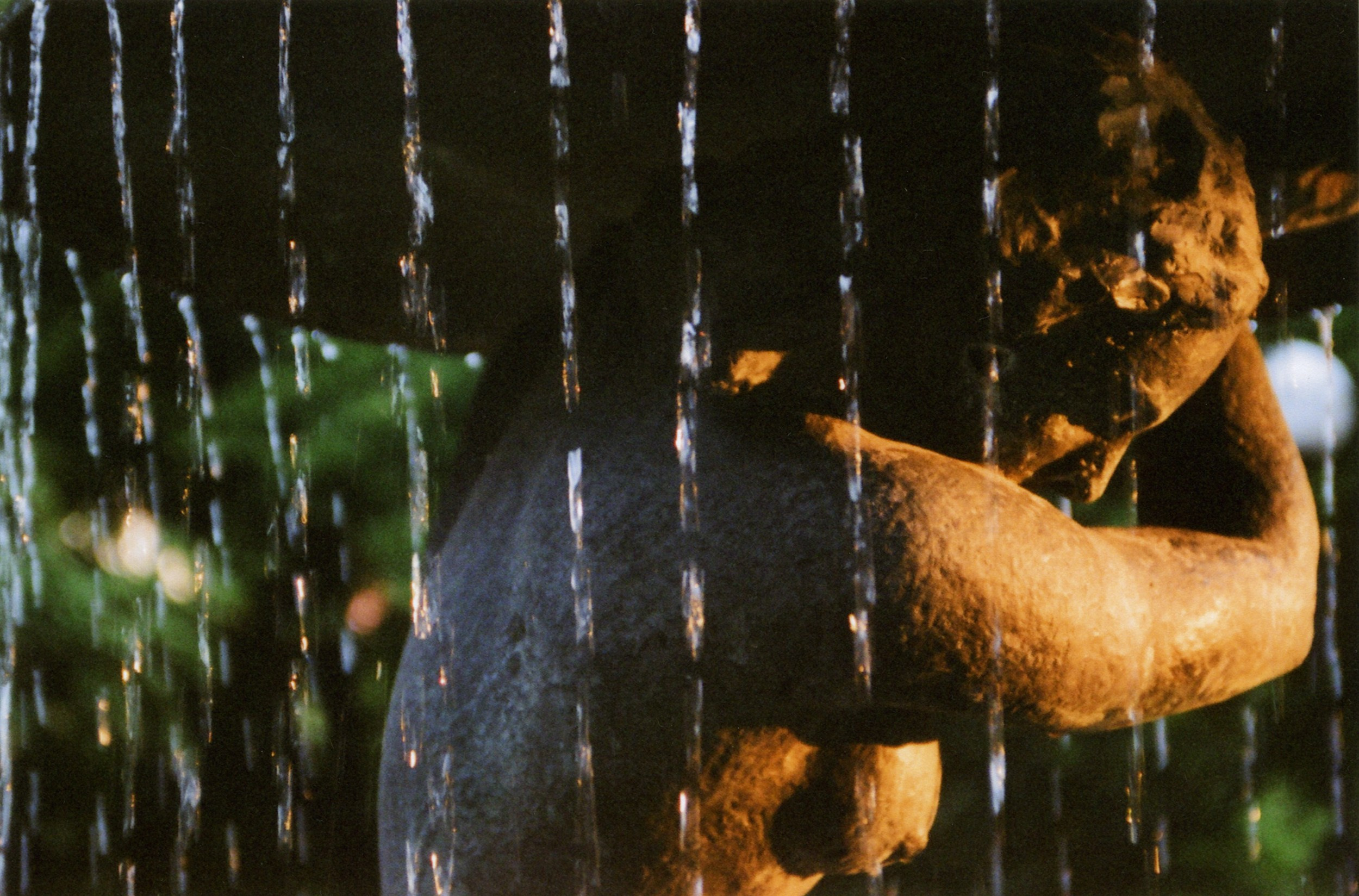 Елена Цихон художник фотографии и мастер фото-ДНК