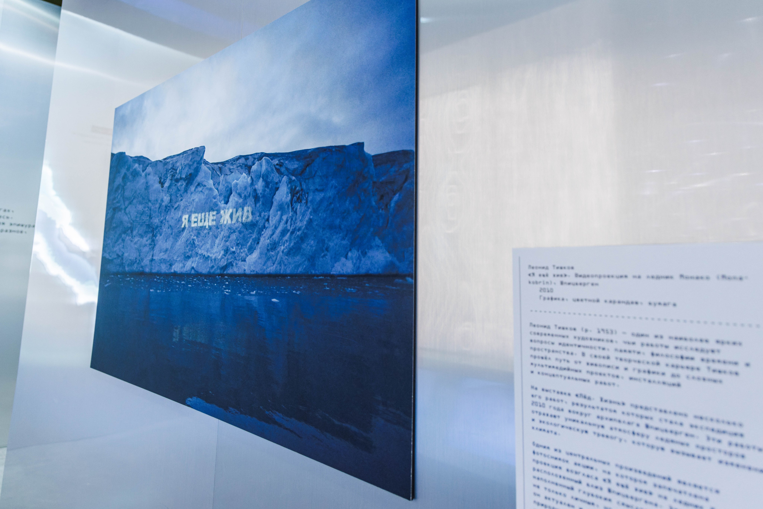 Лед. Жизнь — познавательно-развлекательная выставка. Фотограф Балаев Михаил