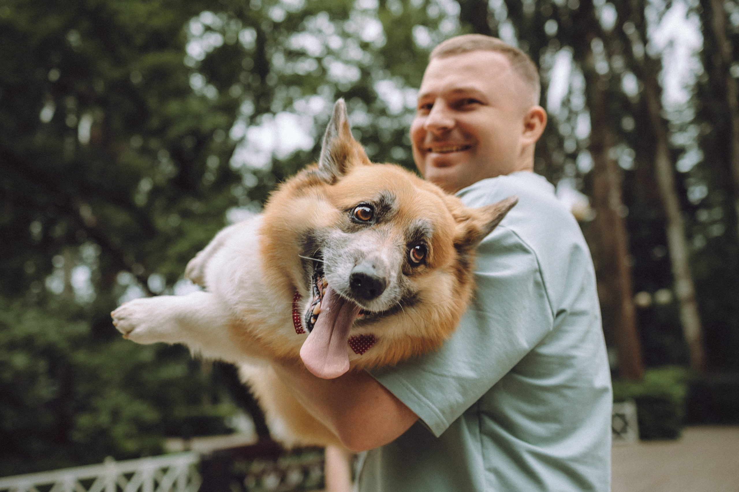 Ира, Леша и Харли