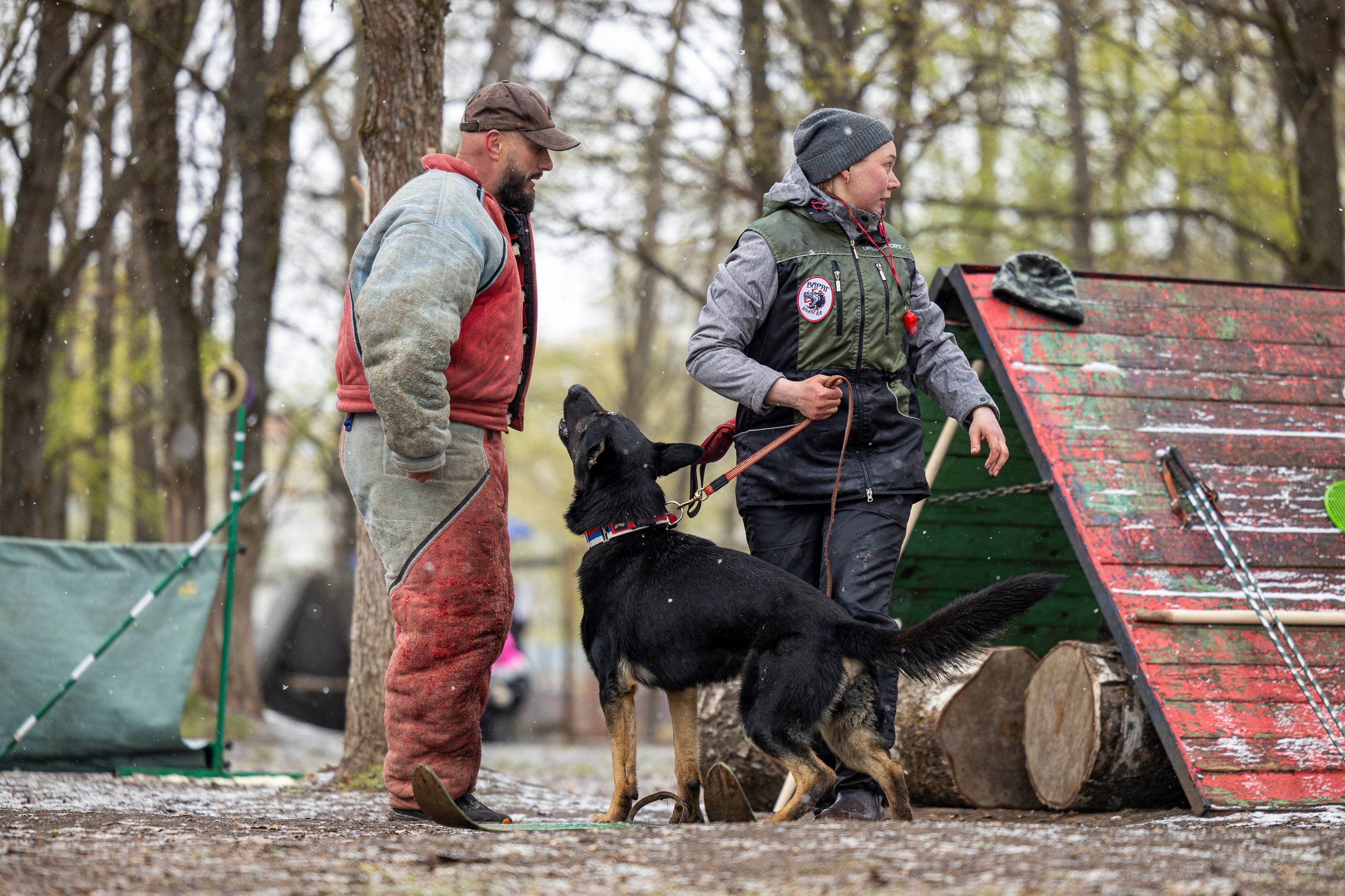 Квалификационные состязания по мондьорингу г. Вологда 11.05.24. Фотограф-анималист Анна Маринич