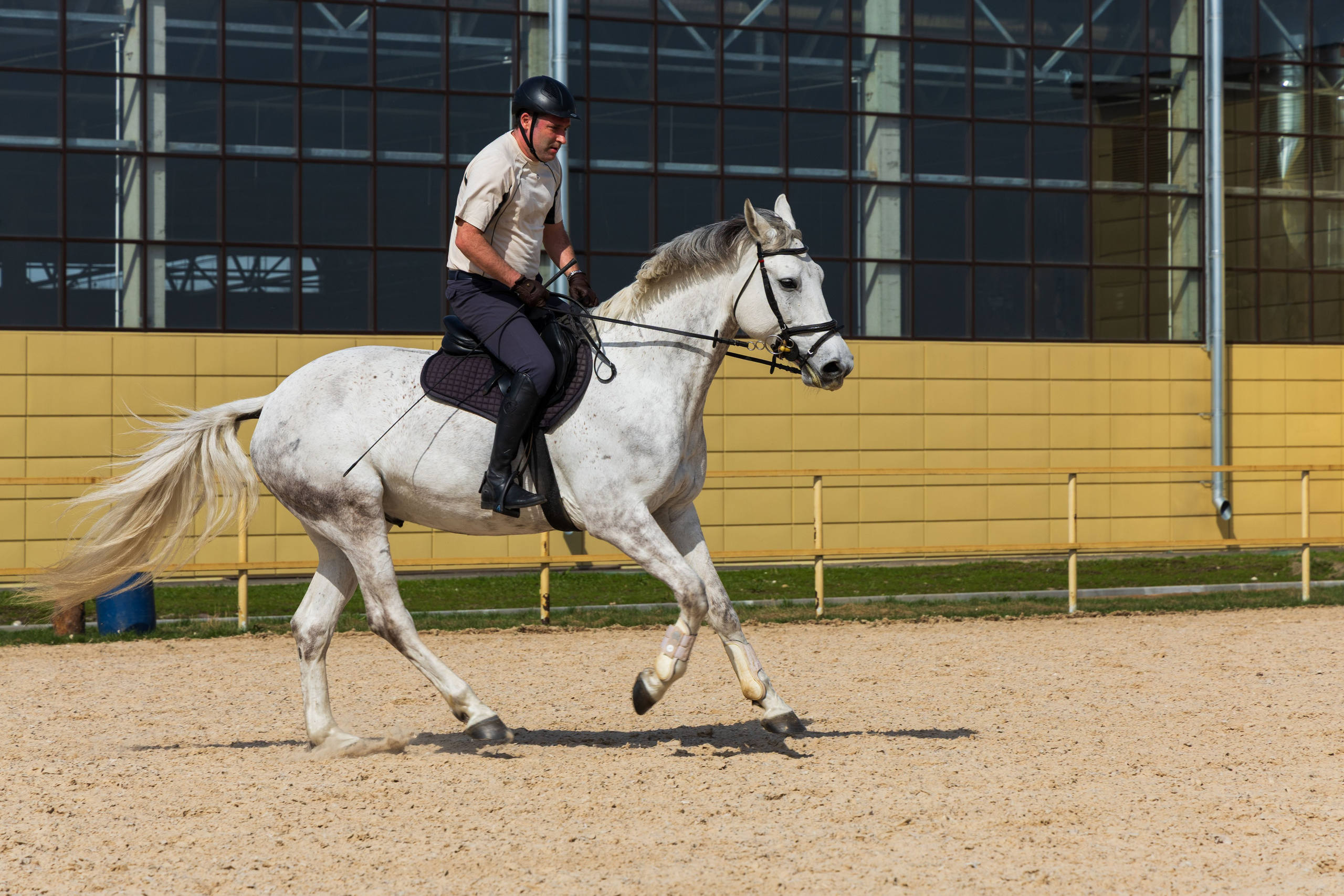Репортаж.Конная тренировка. Портретный и семейный фотограф Санкт-Петербург