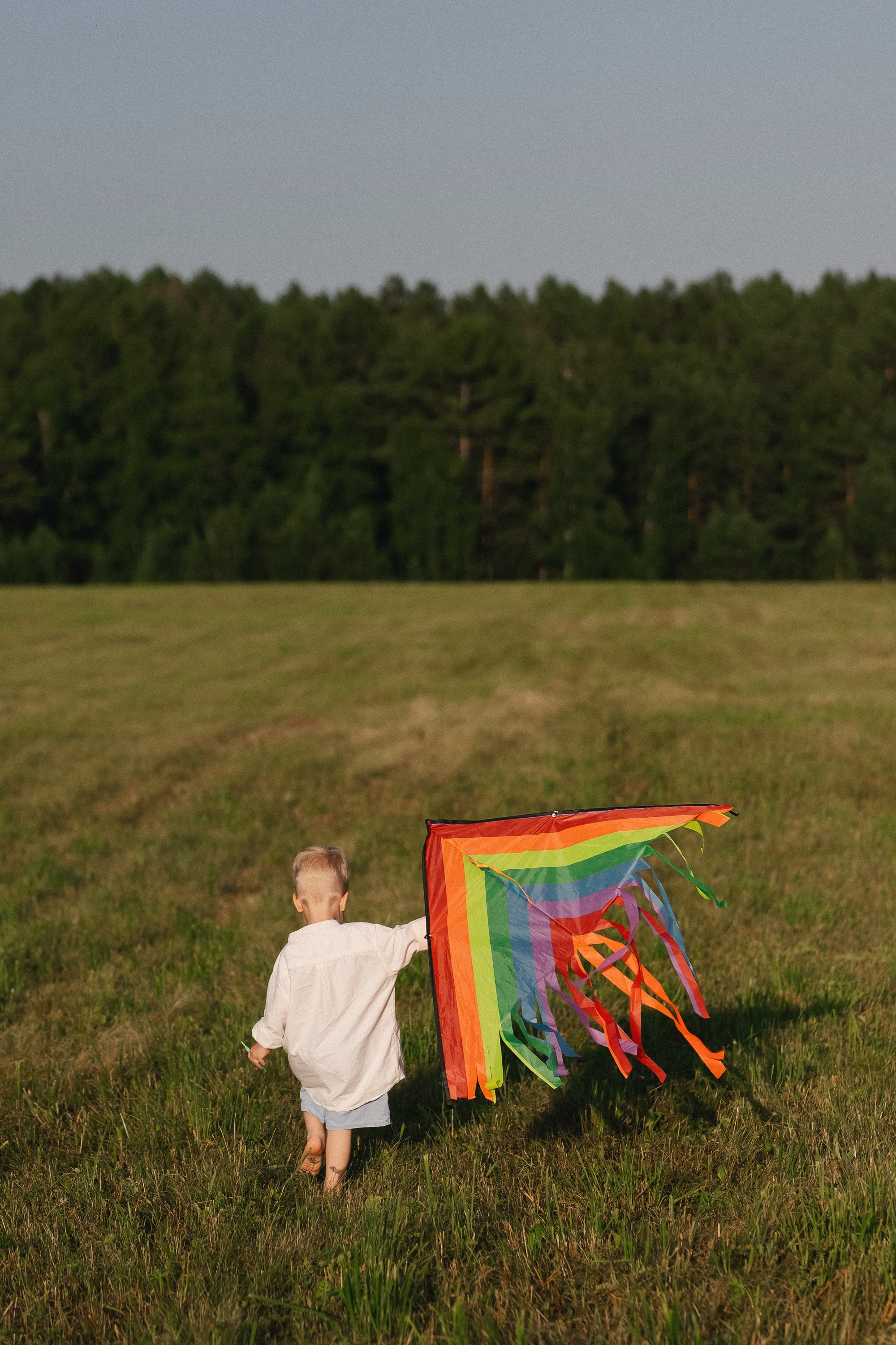 «ВСЛЕД ЗА ВЕТРОМ». Maria Startseva Photo