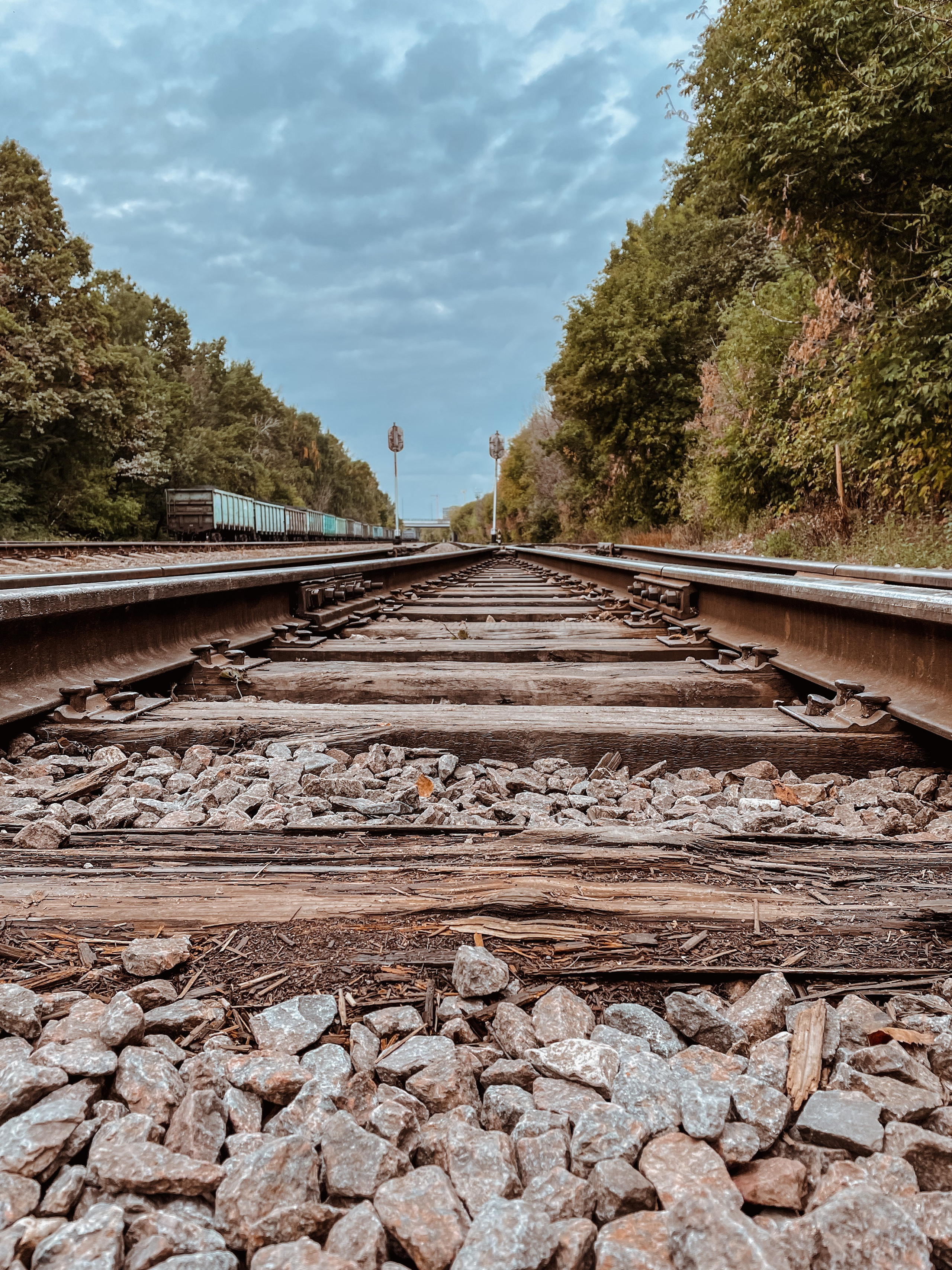 Пейзаж. Фотограф Олеся Шипихина г. Москва
