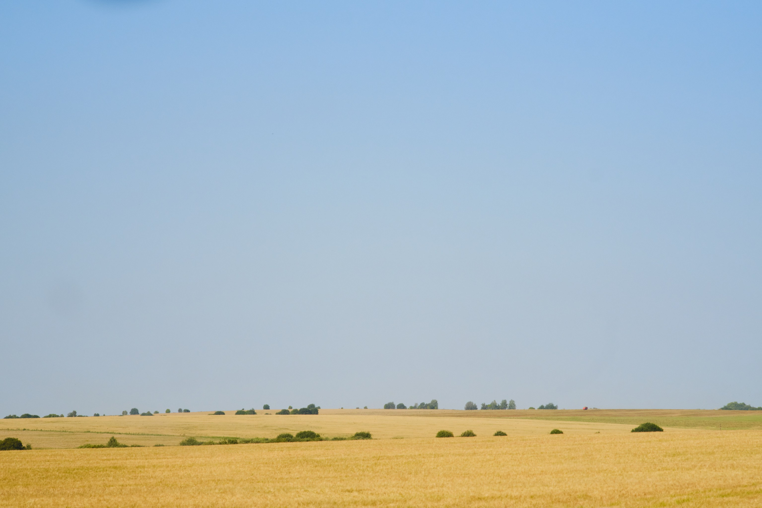 Фотограф Юлия Глазкова