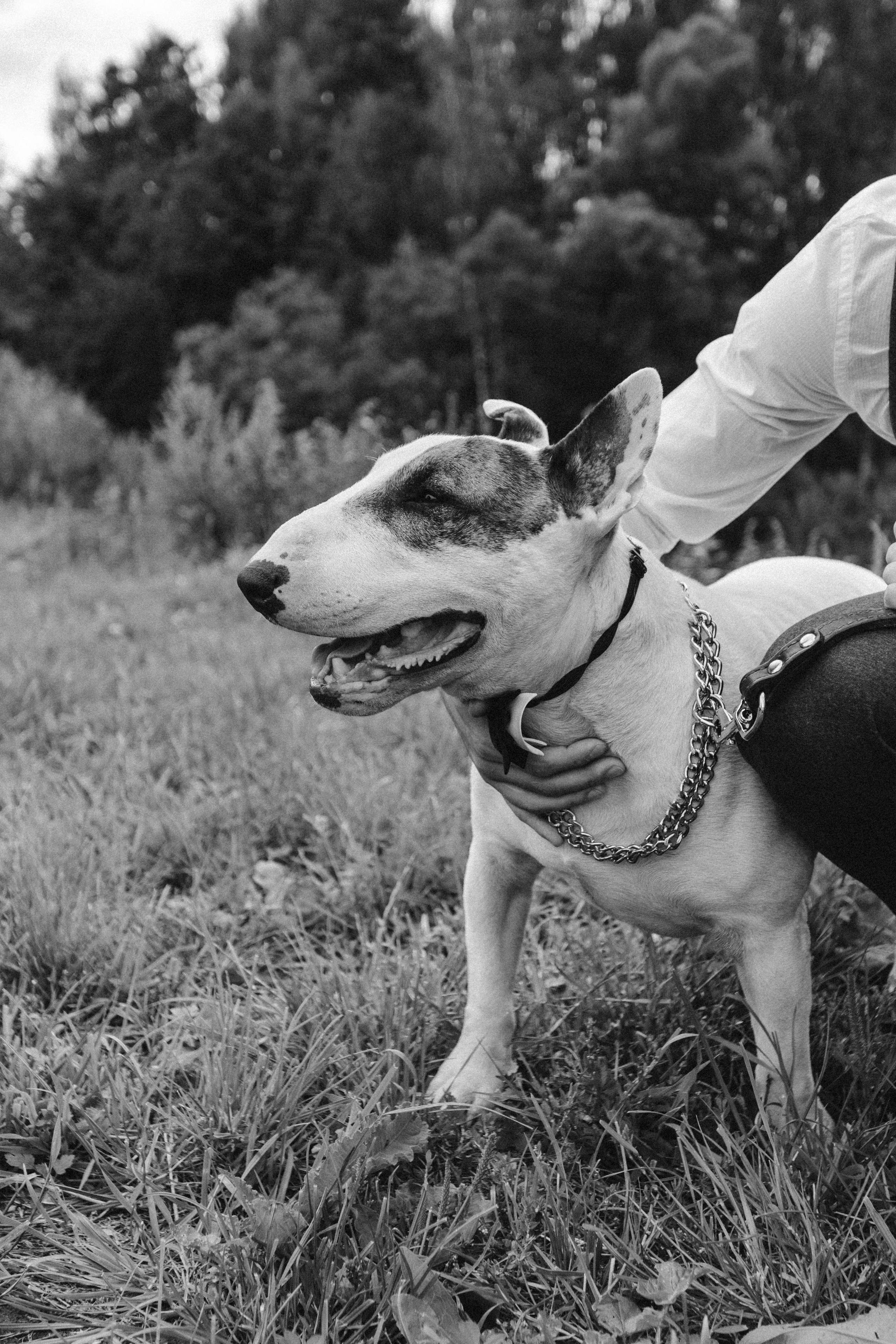 Manhattan. Свадебный фотограф Анастасия Пальчикова