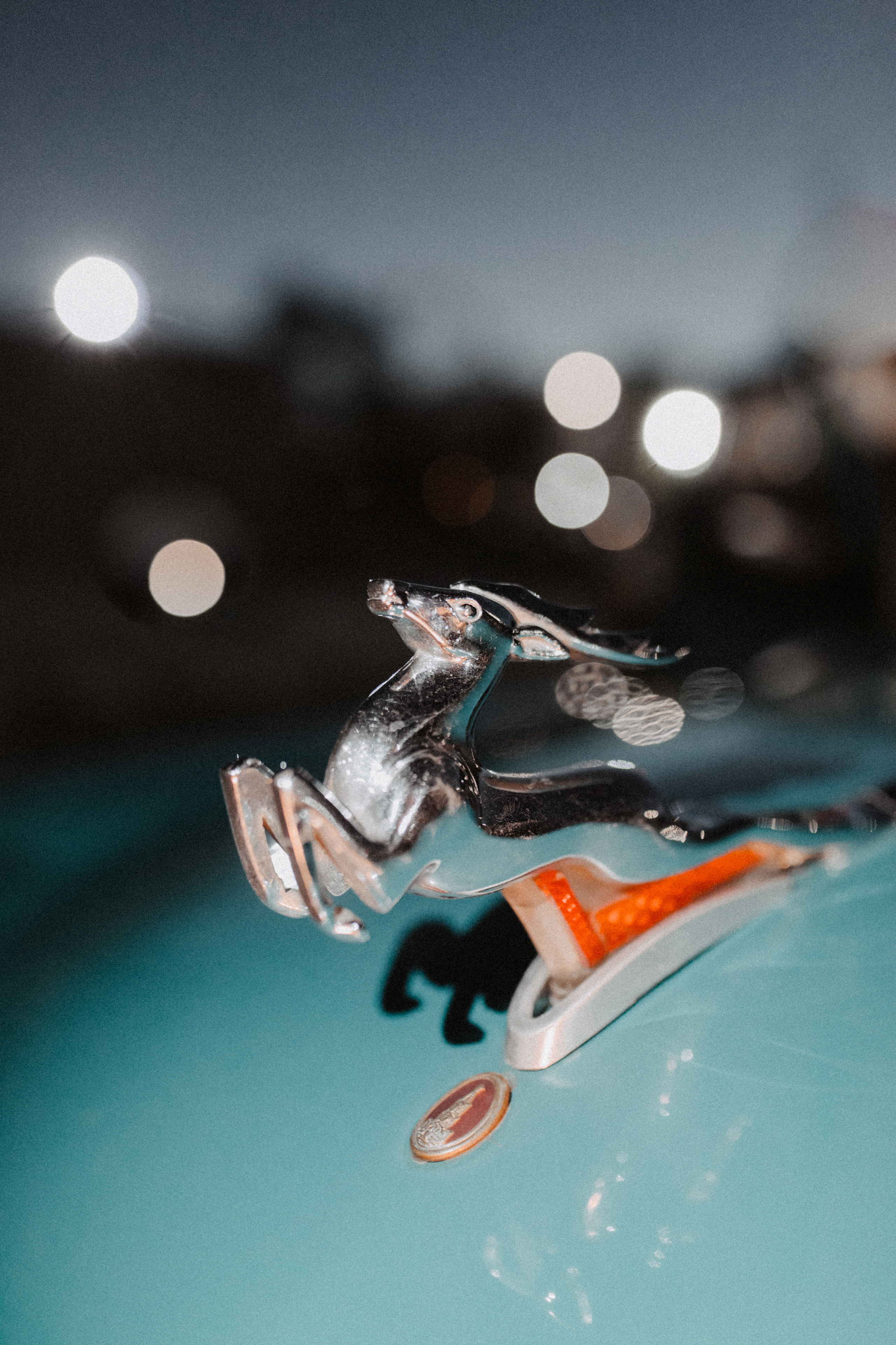 G & O. Свадебный фотограф Анастасия Пальчикова