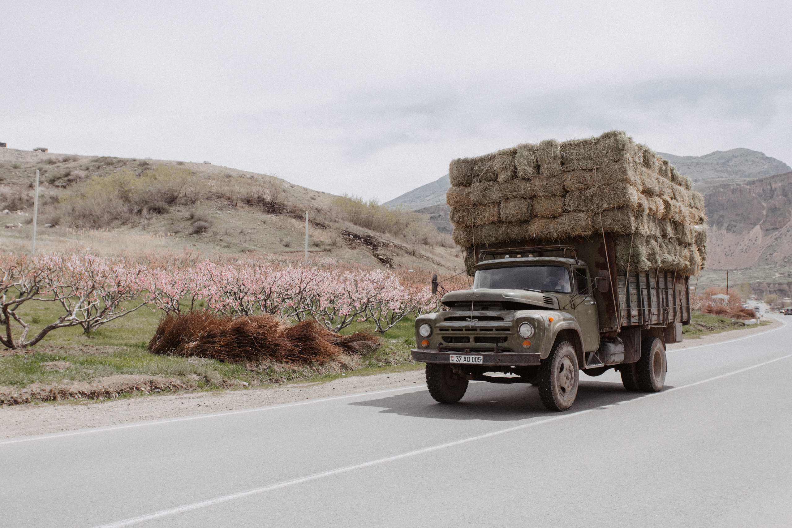 G & O. Свадебный фотограф Анастасия Пальчикова