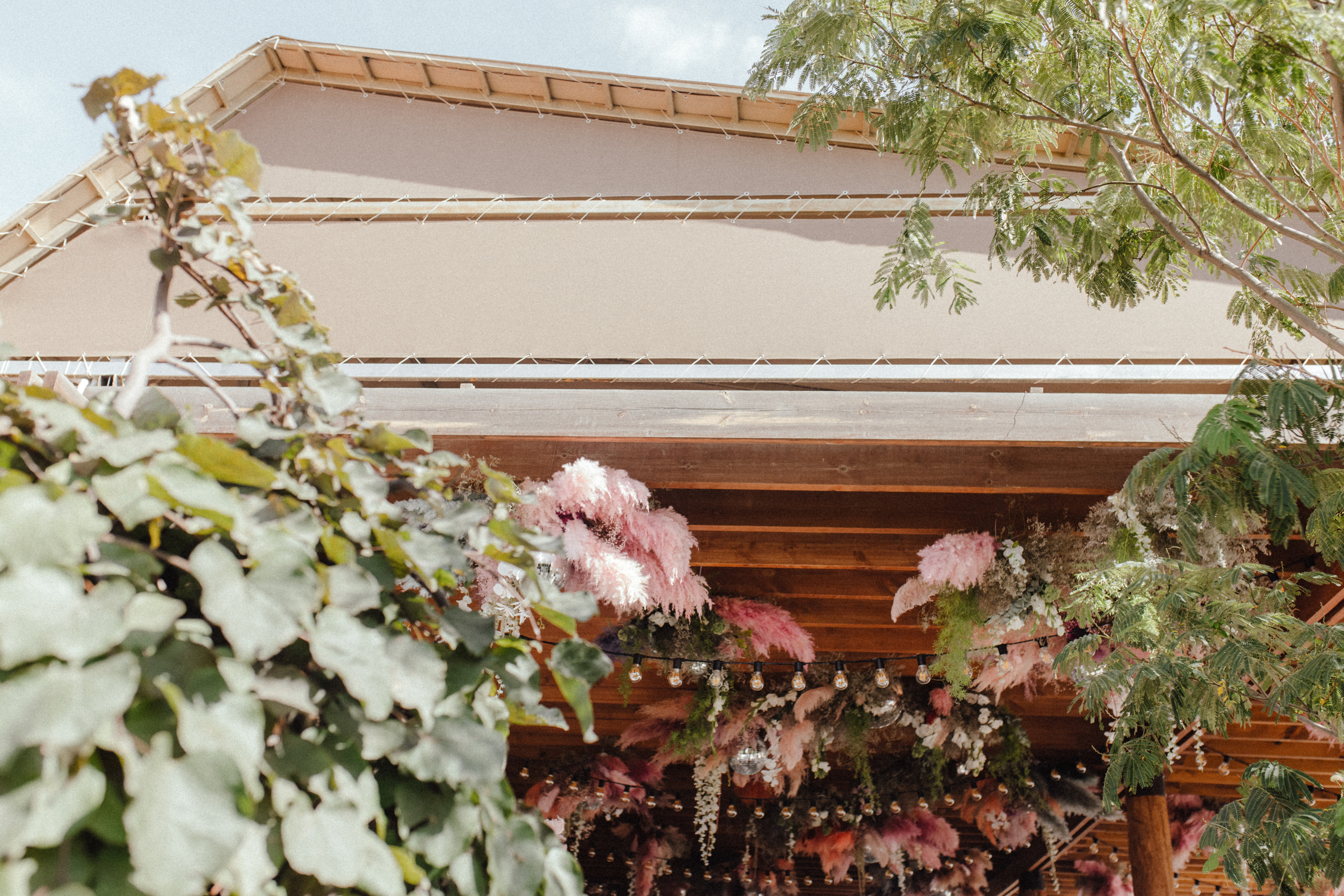 Дукалиc. Свадебный фотограф Анастасия Пальчикова