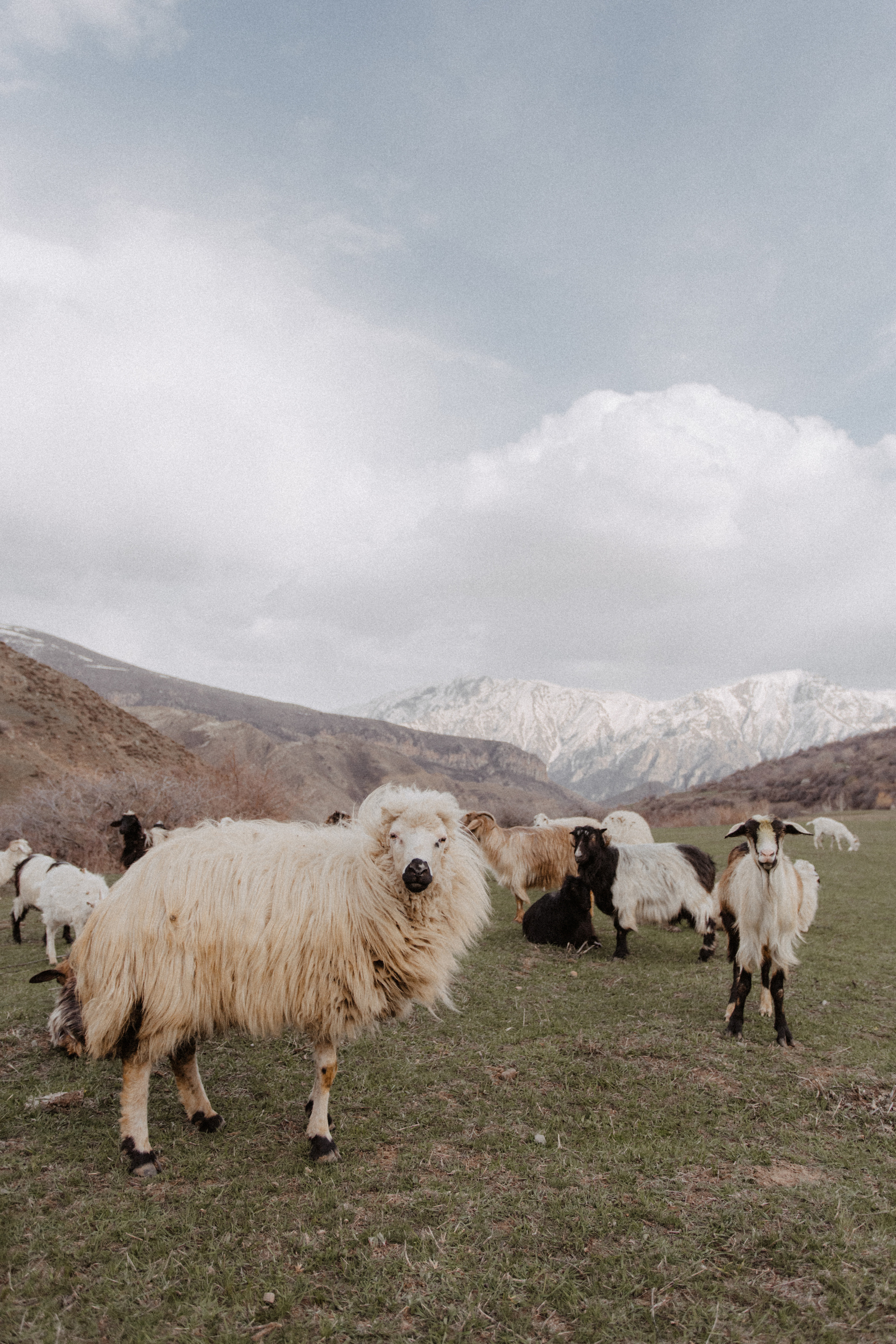 G & O. Свадебный фотограф Анастасия Пальчикова