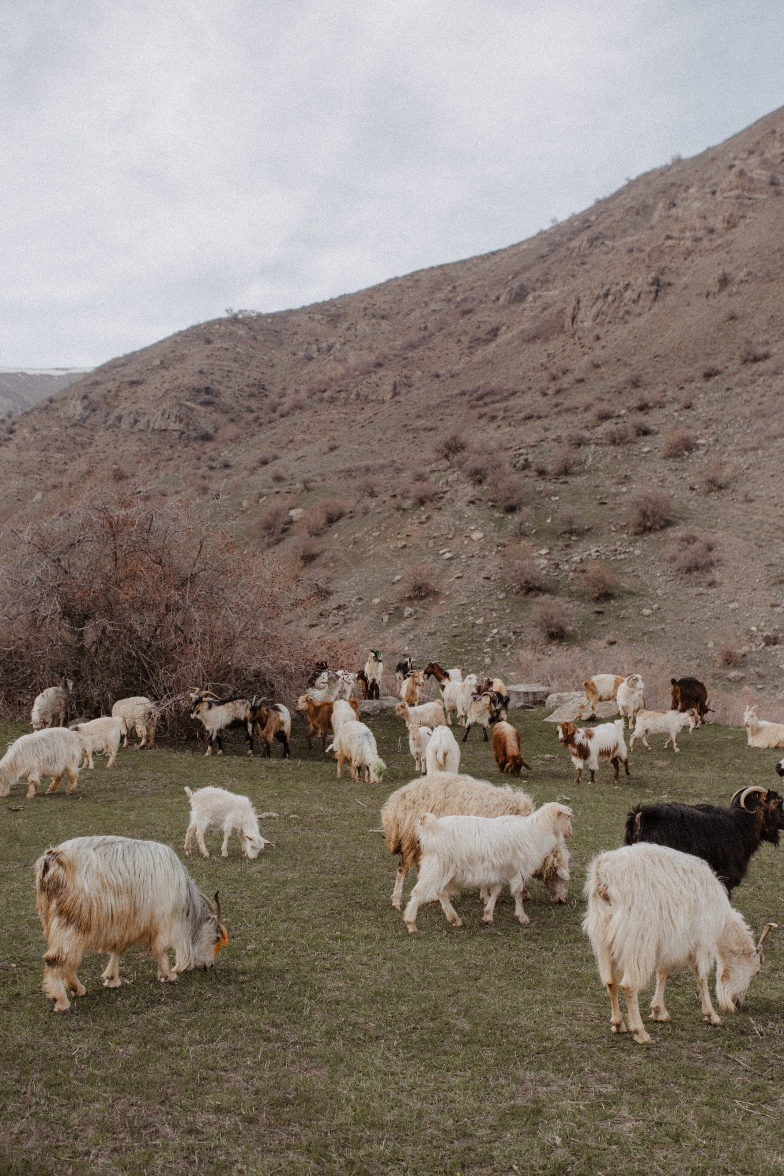 G & O. Свадебный фотограф Анастасия Пальчикова