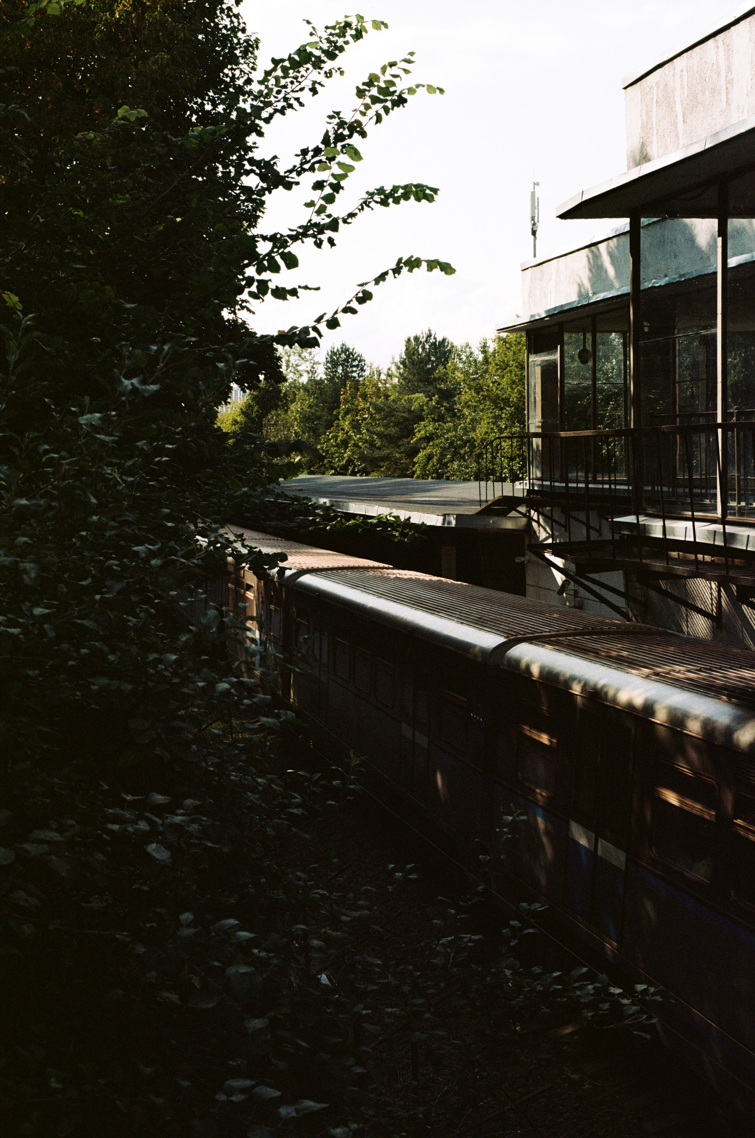 Grain. Artem Khusainov