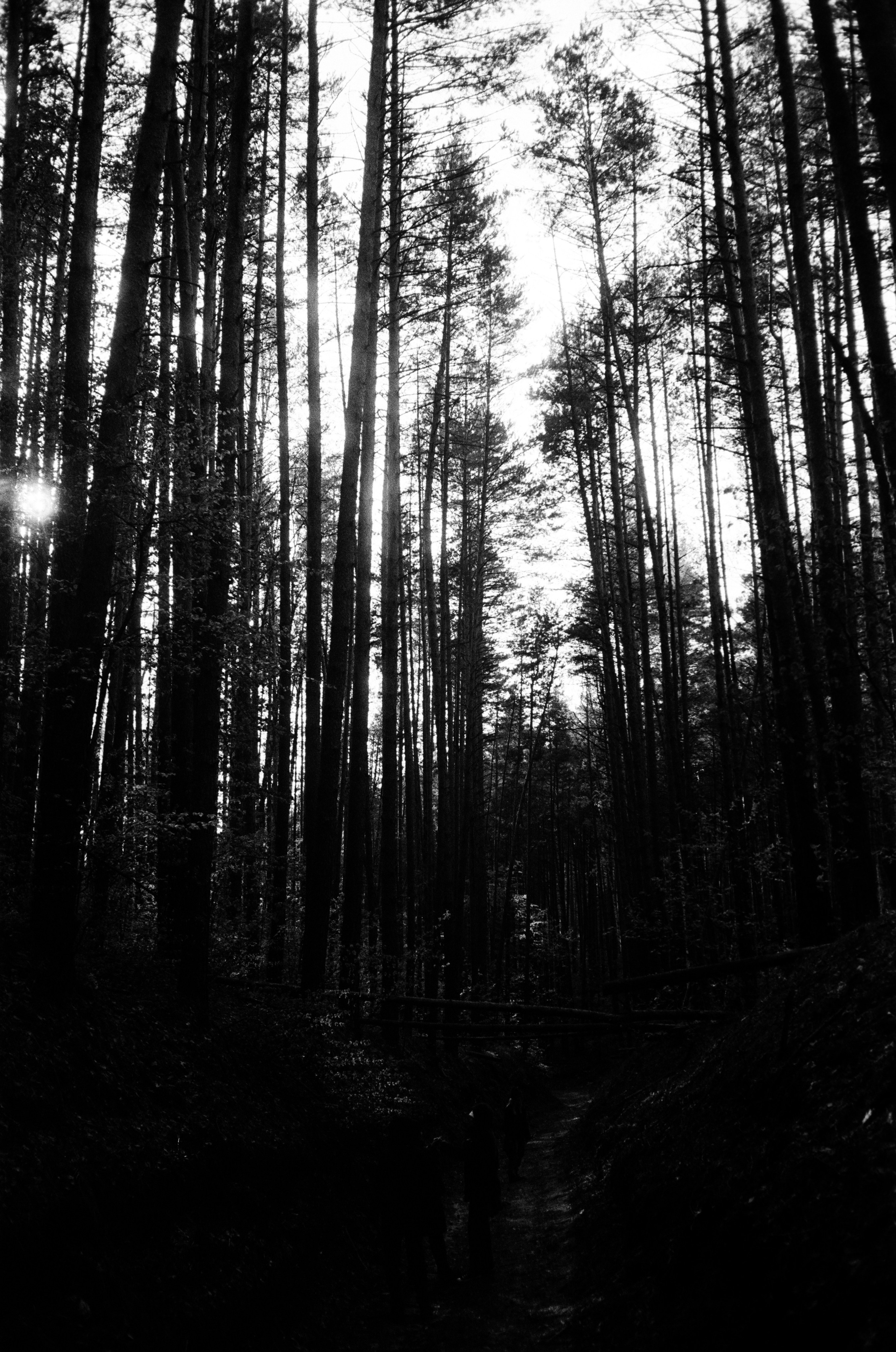 Grain. Artem Khusainov