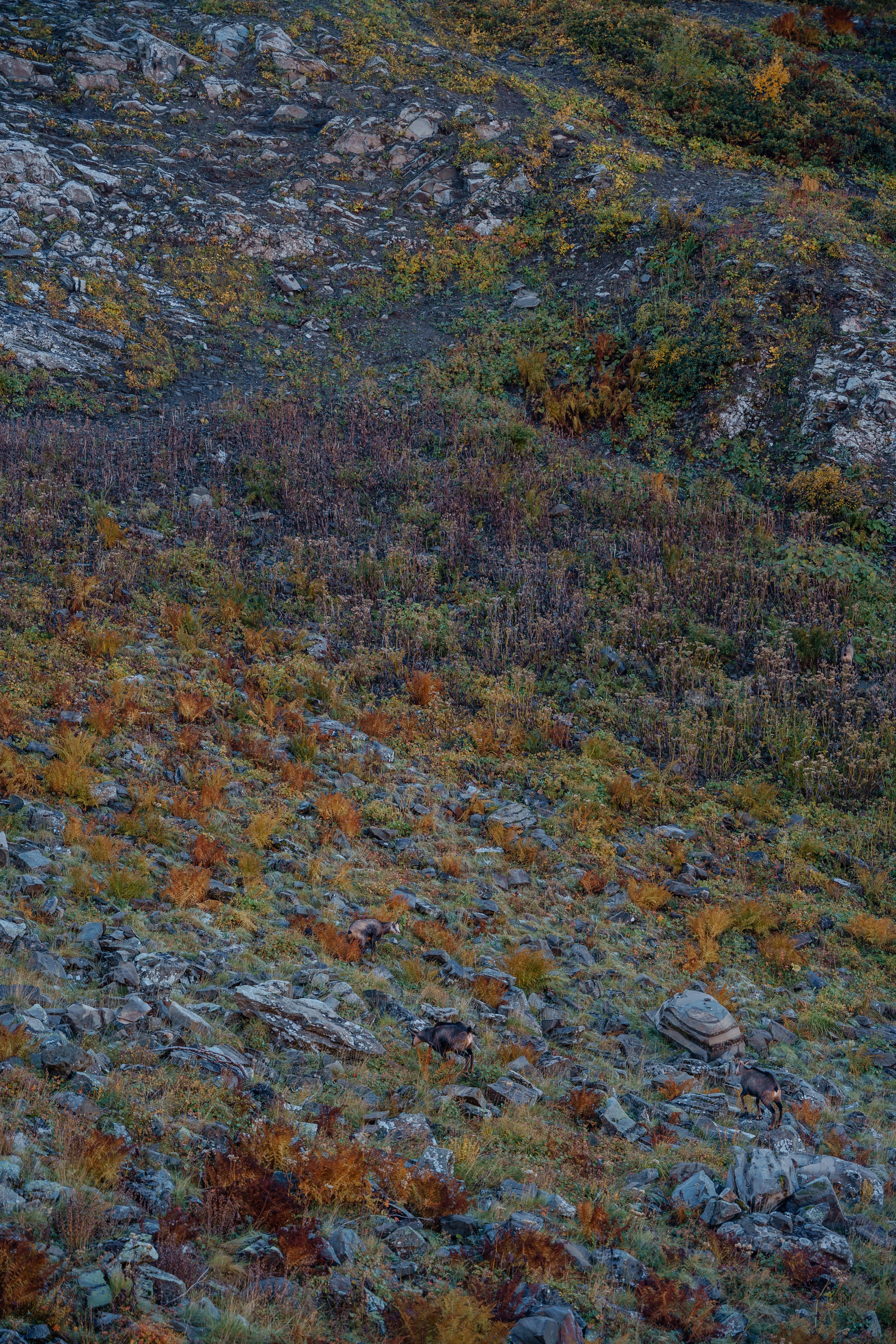 Фотограф на хайкинг в горы. Репортажный фотограф Москва Сергей Дружинин