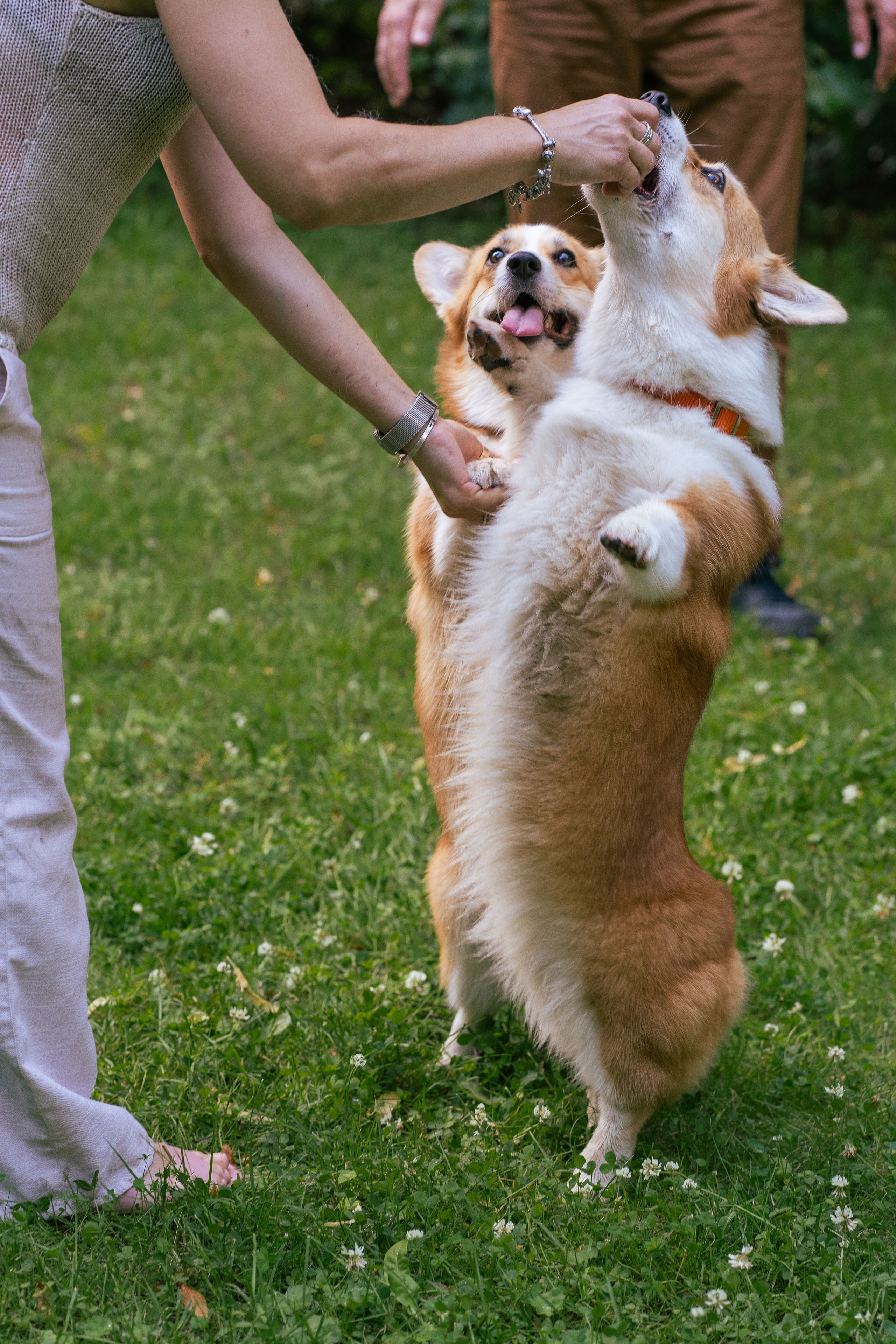 Ольга и коржики. Свадебный фотограф в Москве Анна Полушина