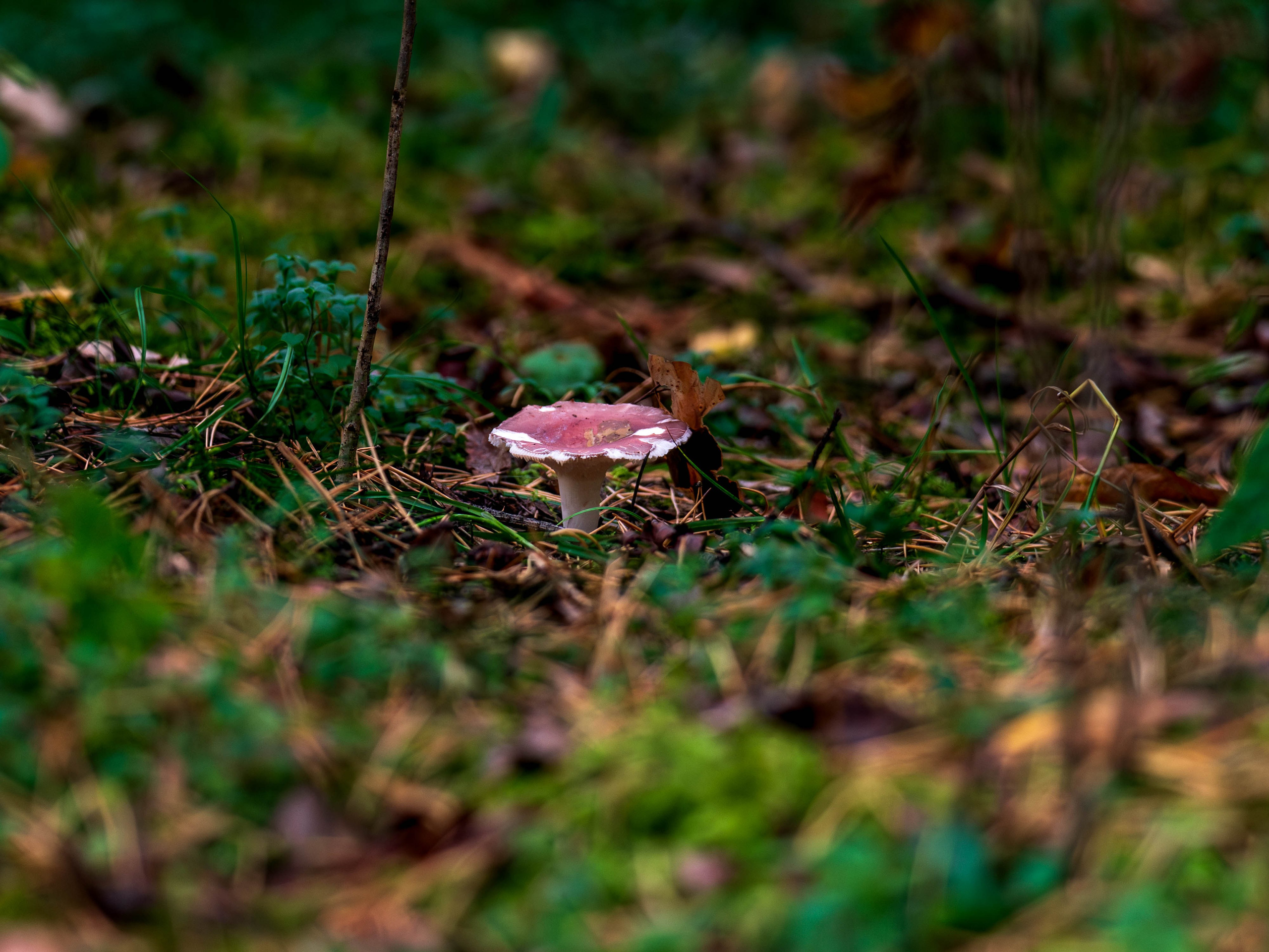 Стрит‑фото: жизнь города в кадре — реальные моменты. FM Media Сrew. Репортажные фото и видео