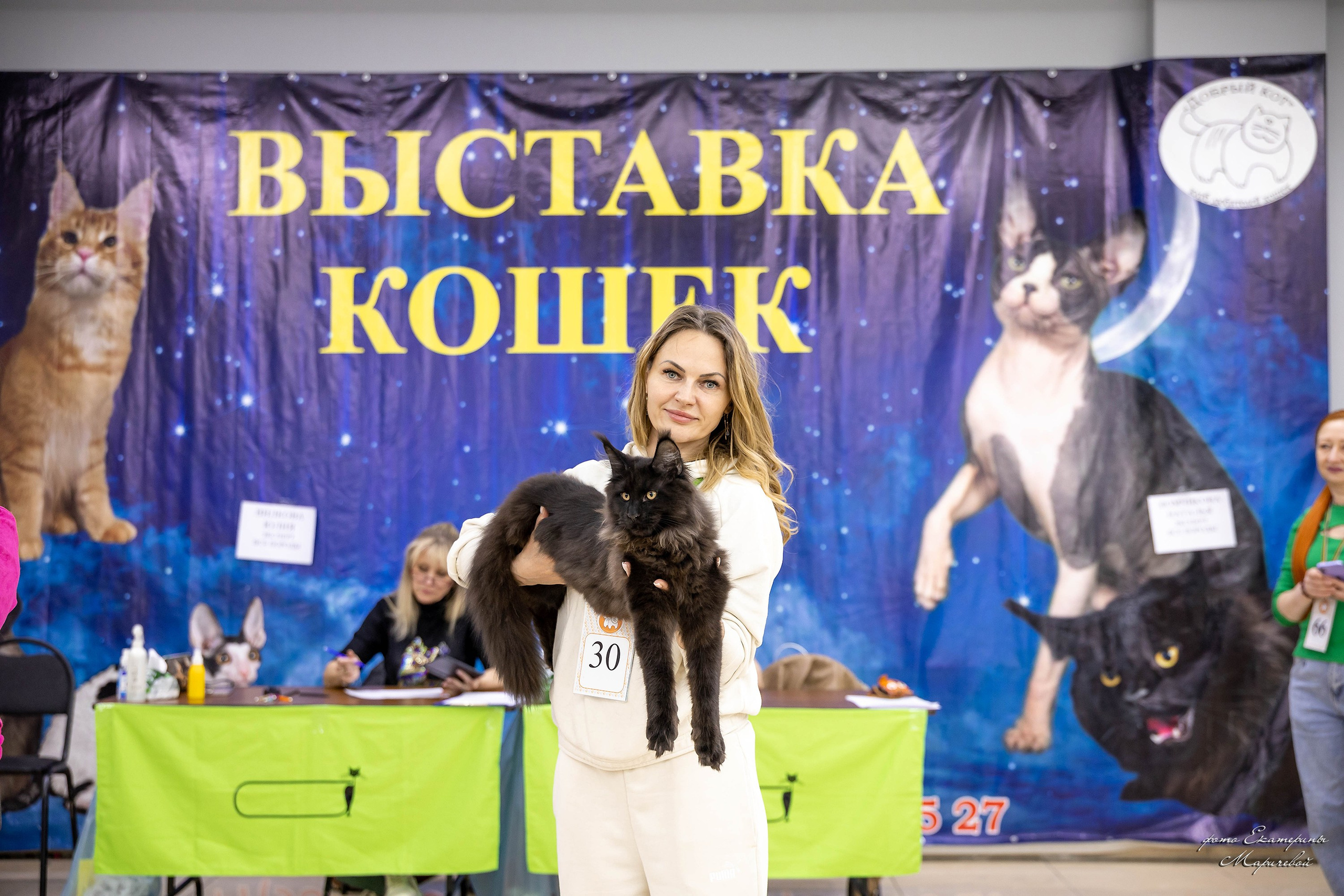 11–12 апреля — Интершоу — «Звездная Галактика Доброго Кота». Работаю со стендом. Фотограф-анималист в Омске Екатерина Маричева