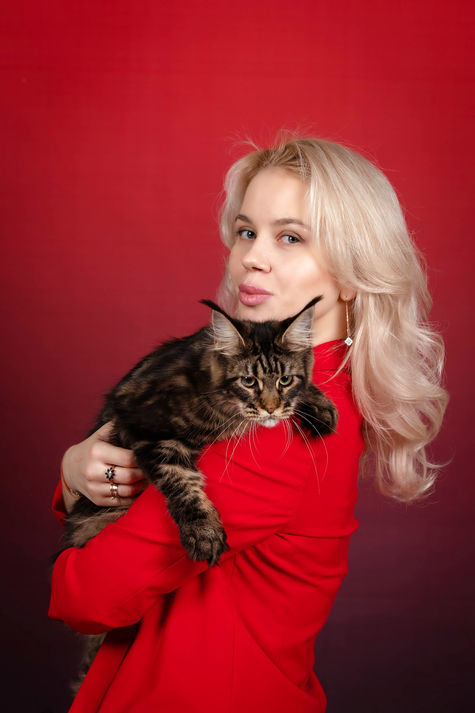 Стендовая съёмка на выставках кошек. Фотограф-анималист в Омске Екатерина Маричева