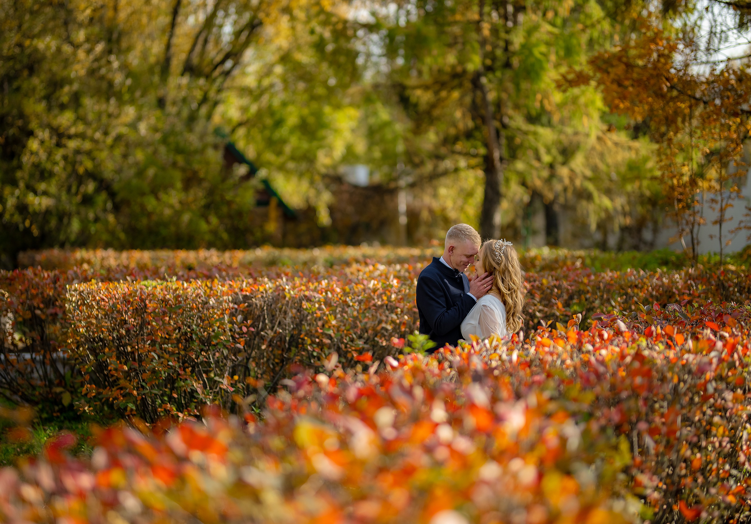 Владимир и Ирина. ProfotoNK