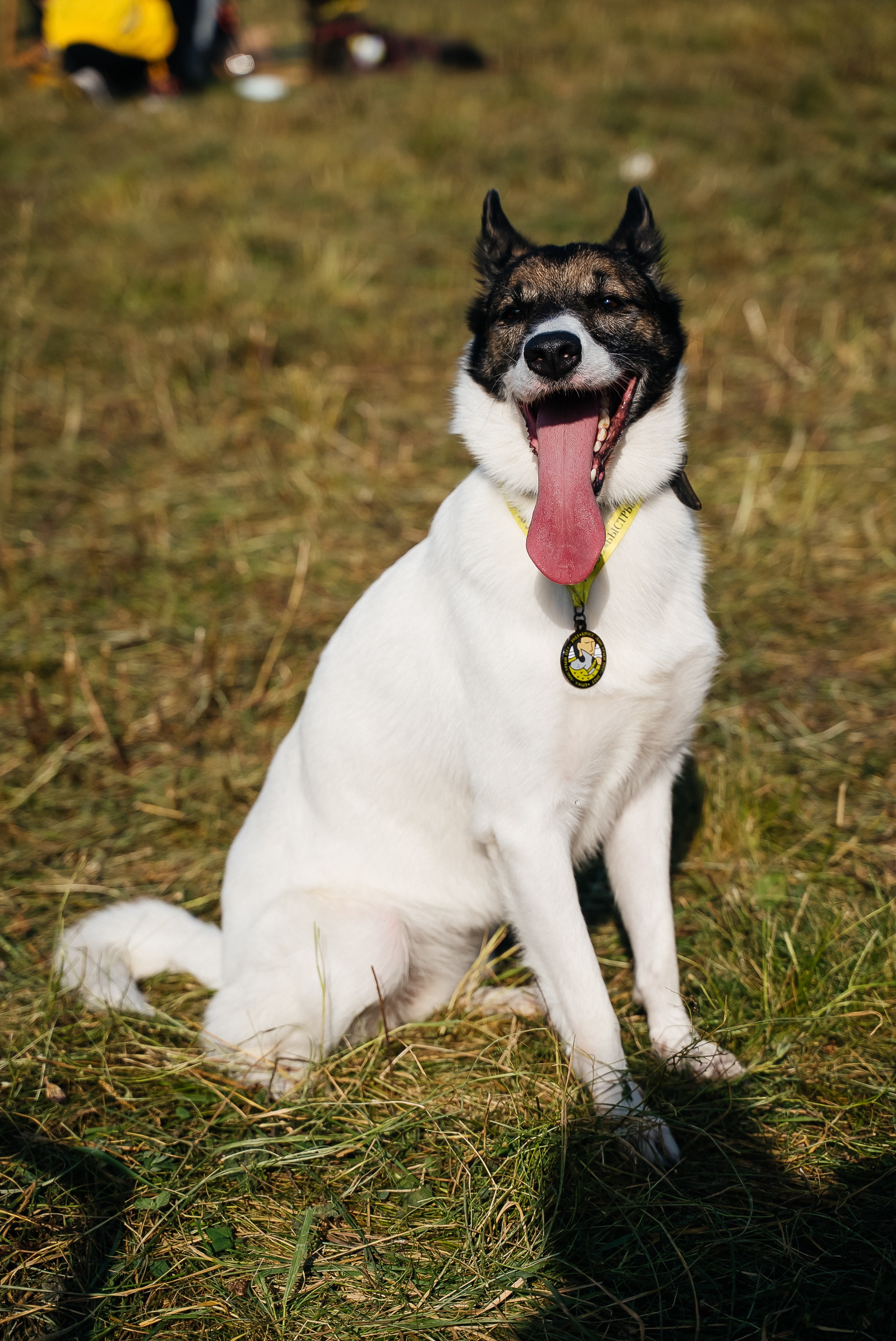Билайн. Павел Краснов — Свадебный и репортажный фотограф в Москве