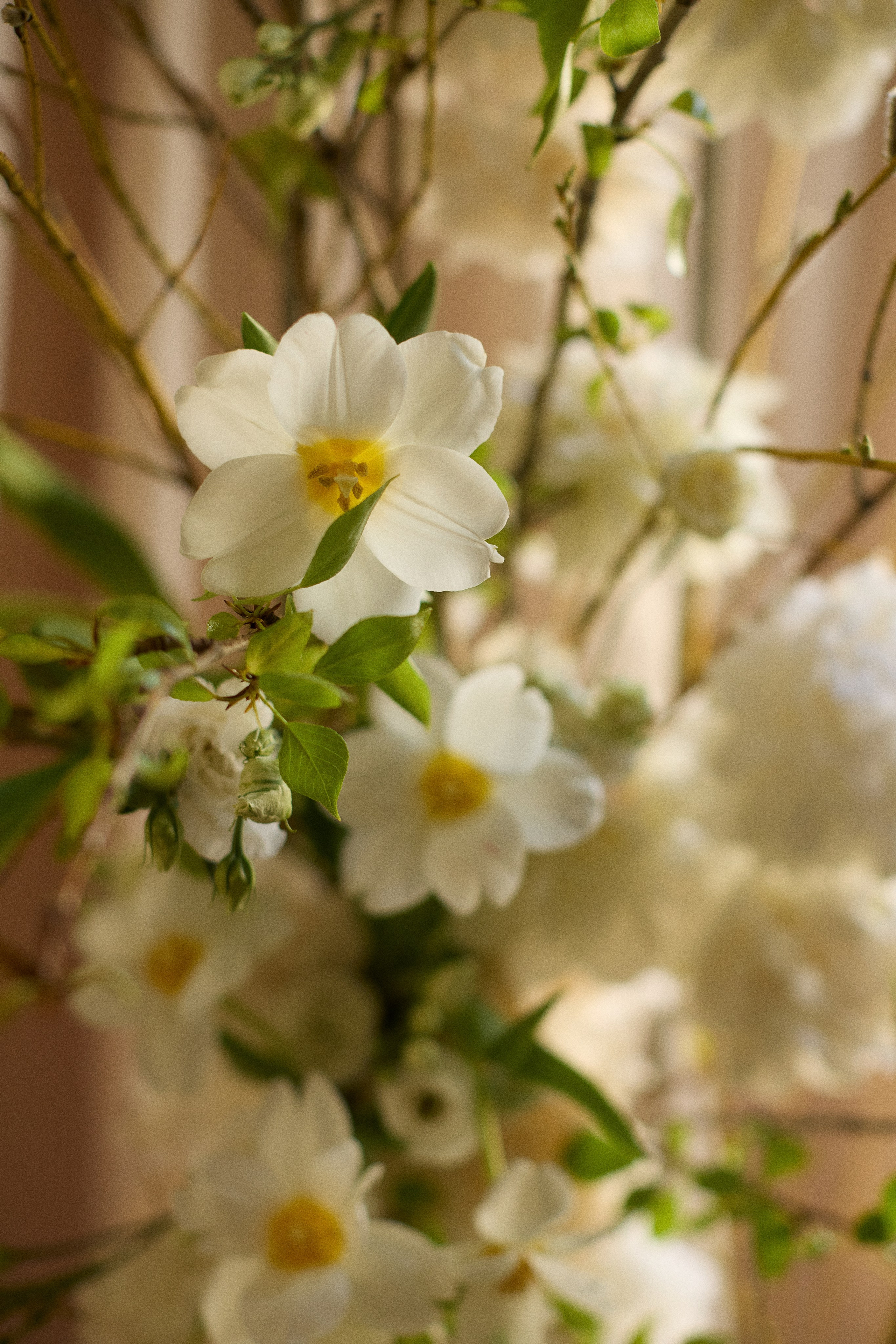 Сибирь объединяет сердца