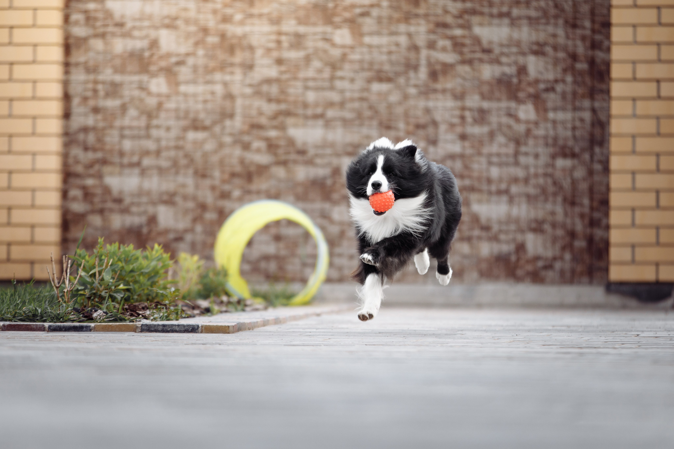 Свое место. О нас