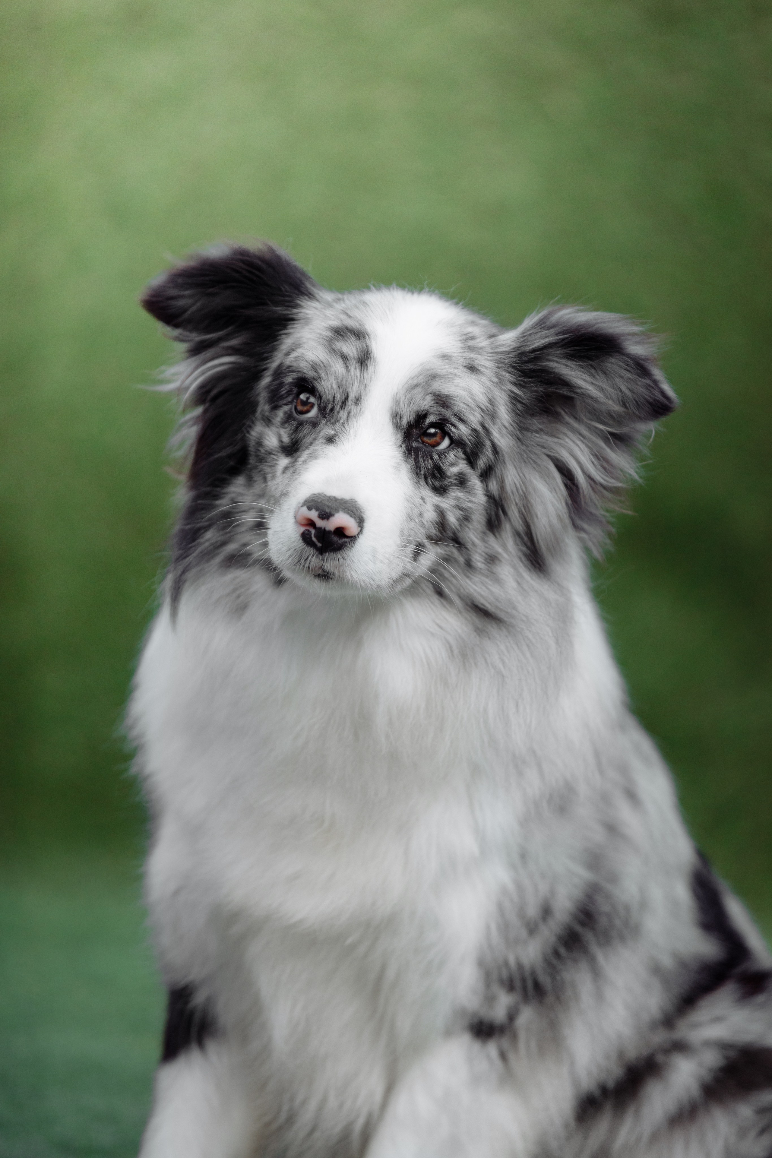 Свое место. О нас