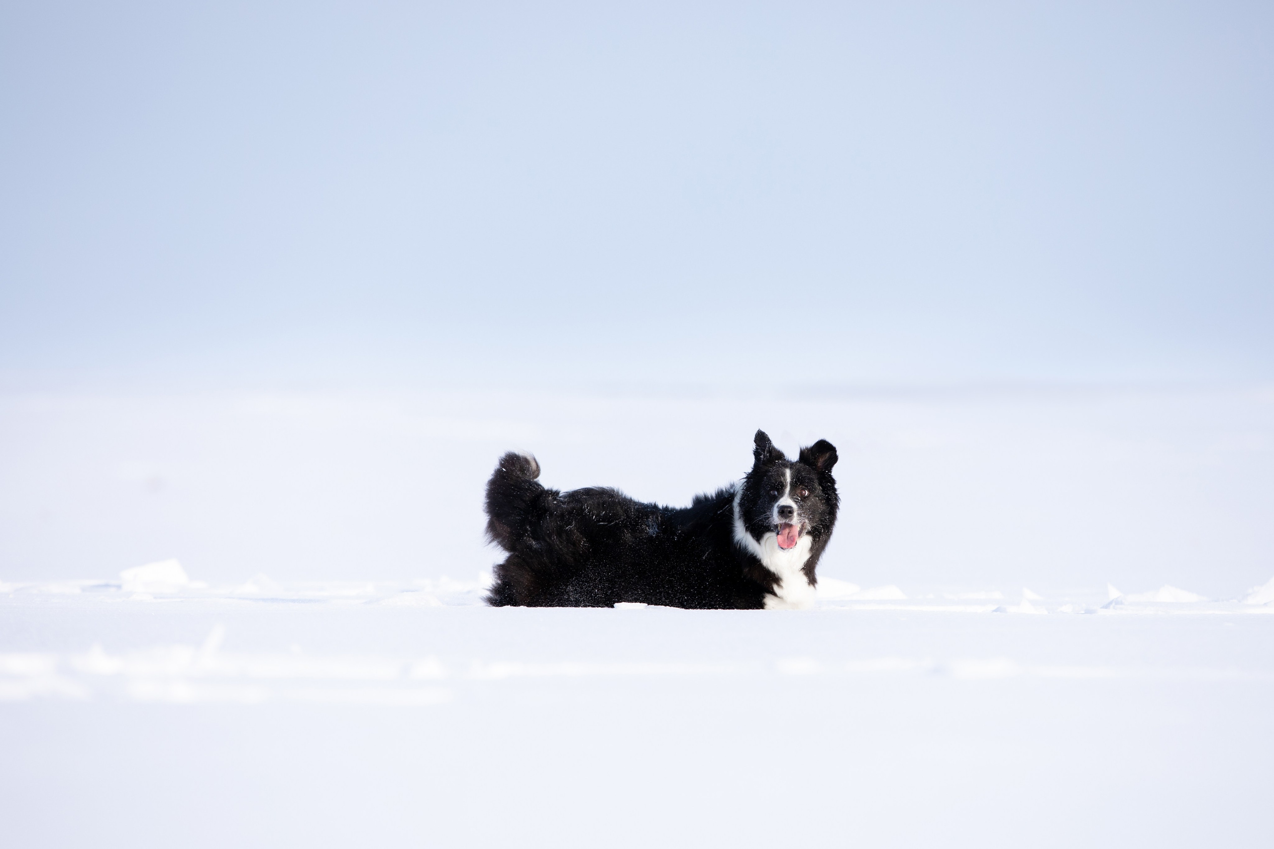 Мороз и солнце. О нас