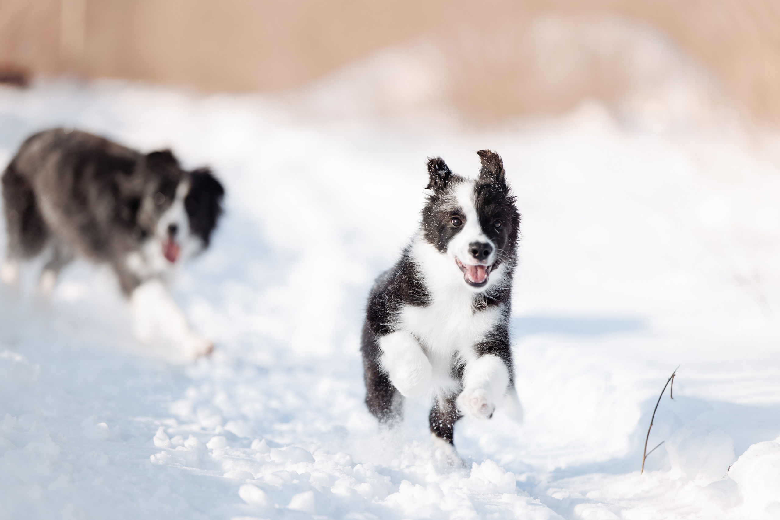 Яркий январь. О нас