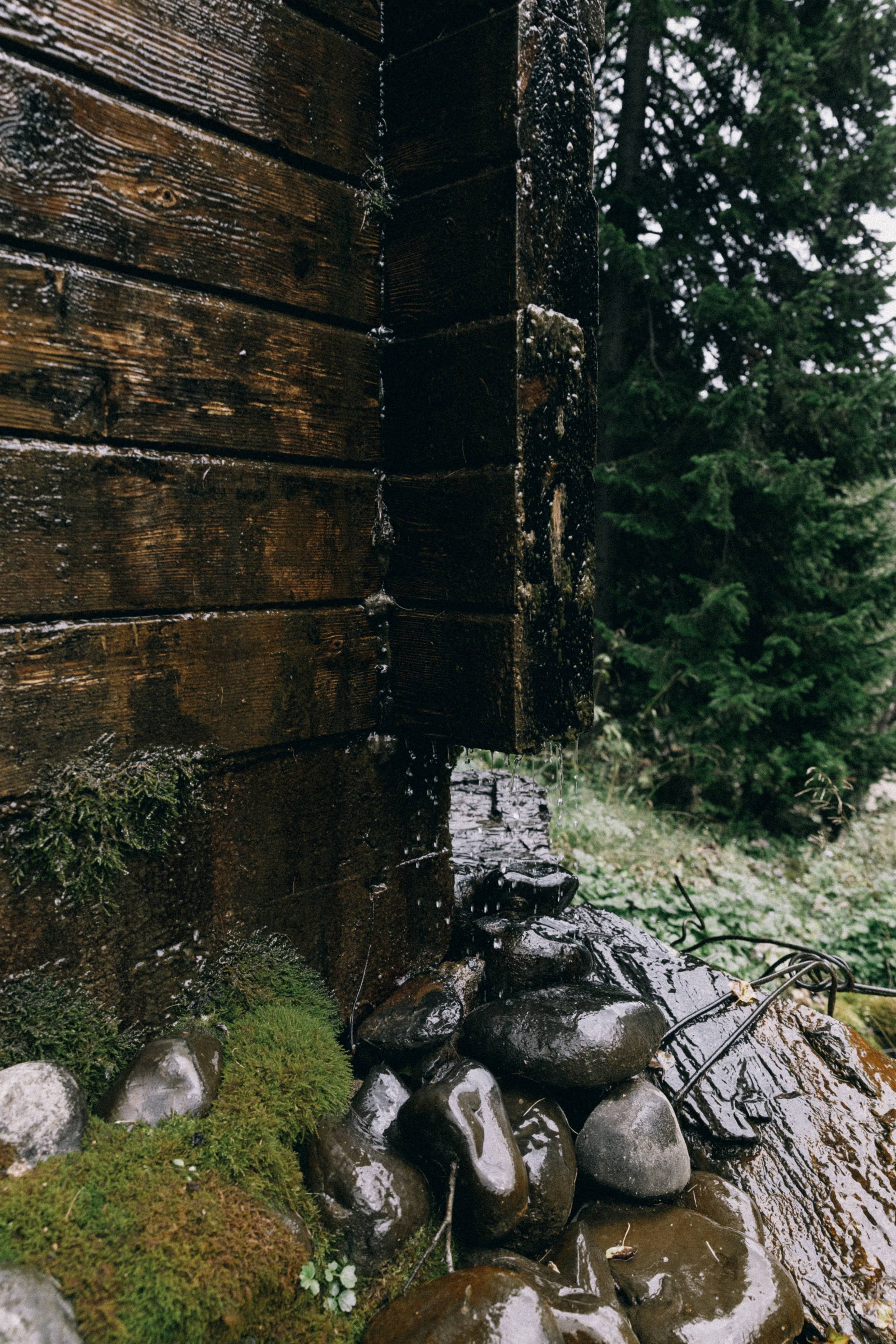 Алтай, природа и эстетика. Александр Чернин. Семейный и событийный фотограф