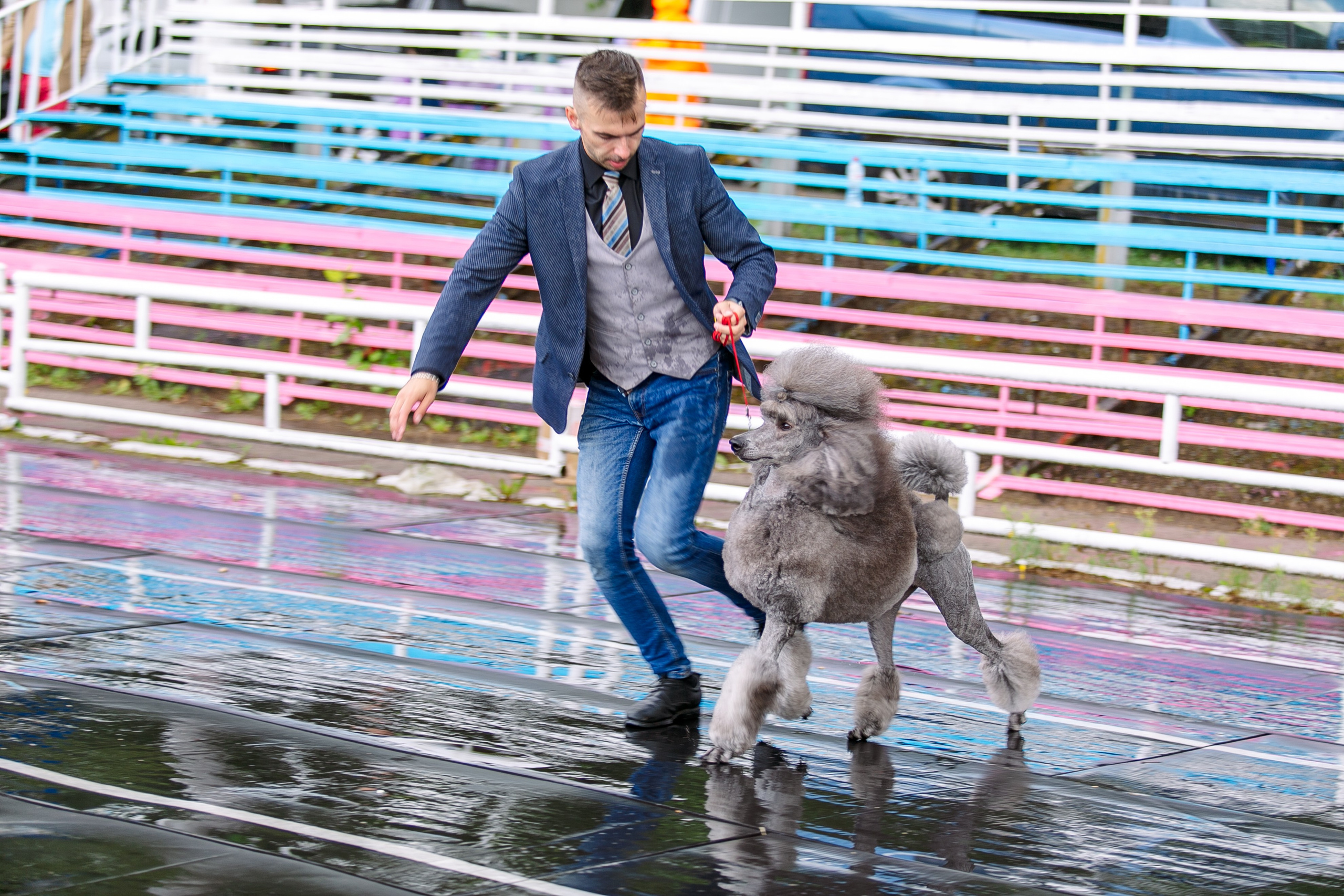Окунулась вновь в атмосферу выставки…. Школьный фотограф в Туле Светлана Привезенцева