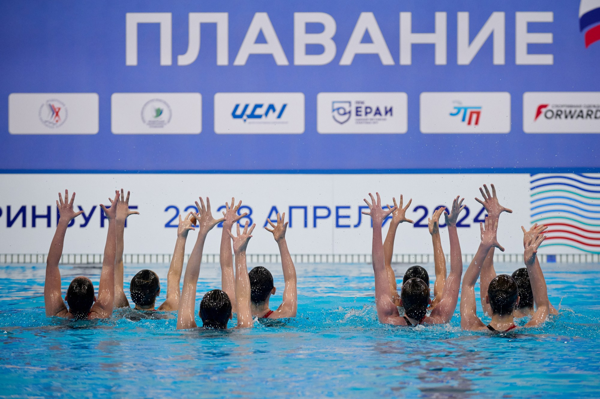 Чемпионат России Синхронное плавание 2024. Мезенцев Евгений фотограф