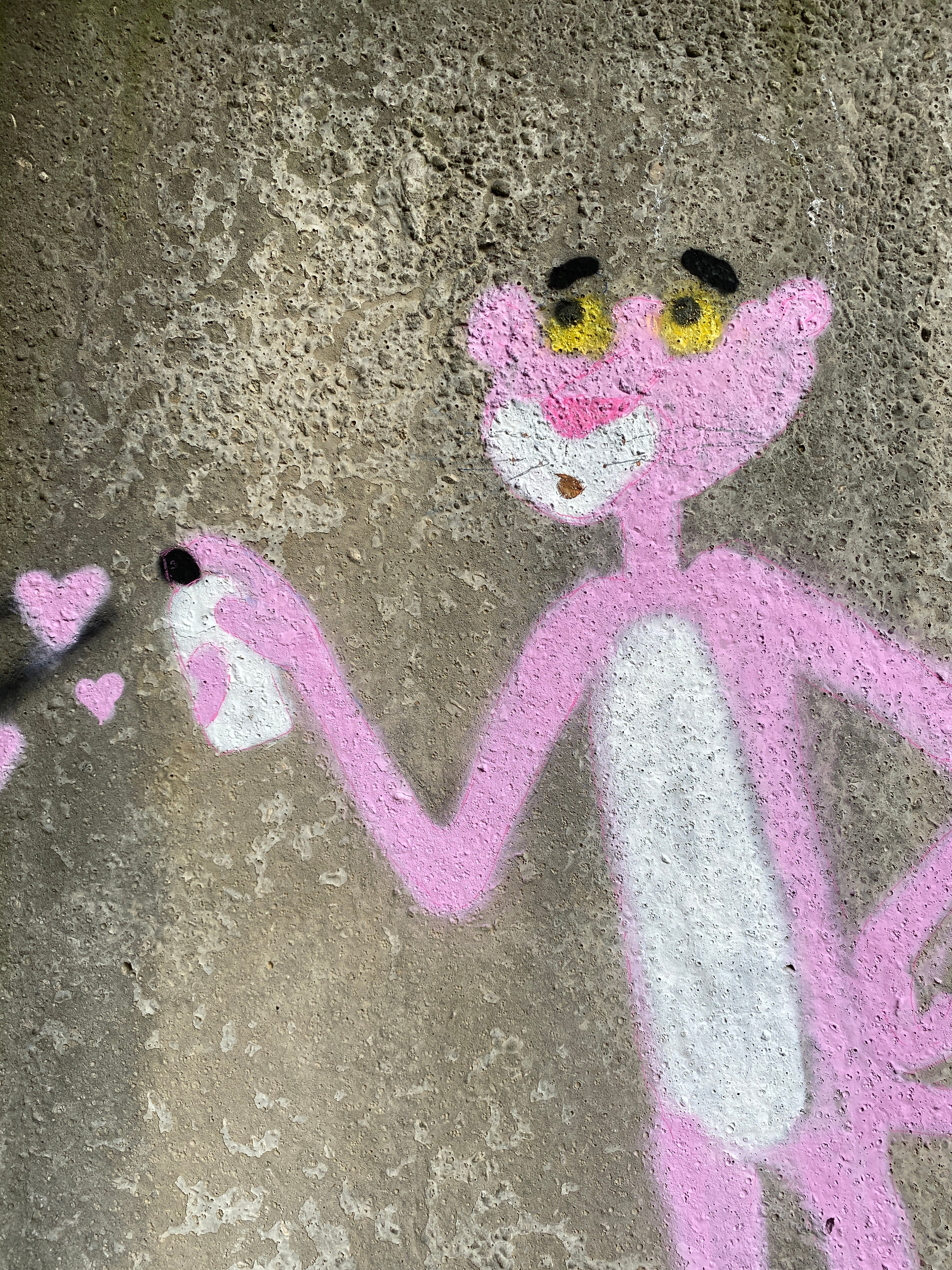 Pink Panther-the-graffitist (коллективная работа). Мультидисциплинарная художница
