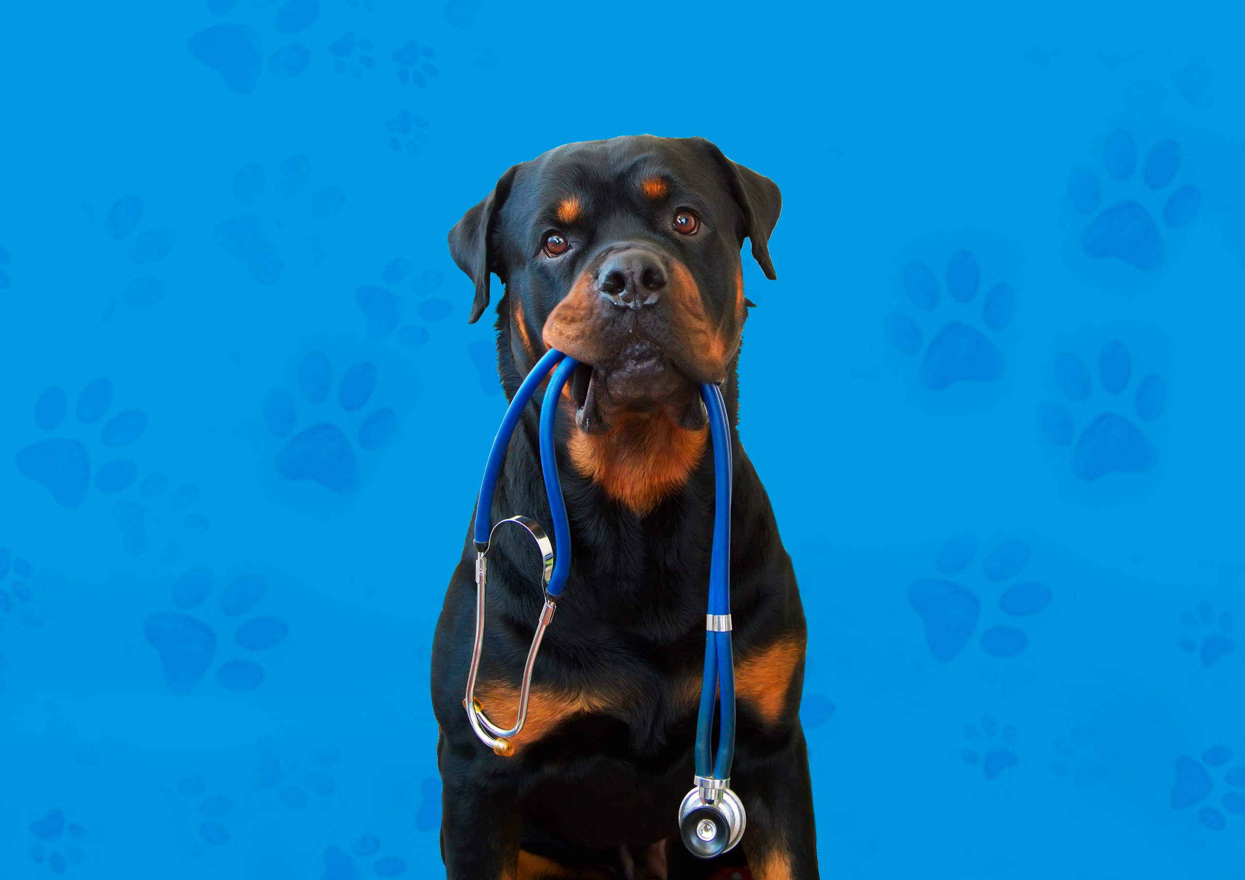 Животные. Авторские туры с профессиональным фотографом