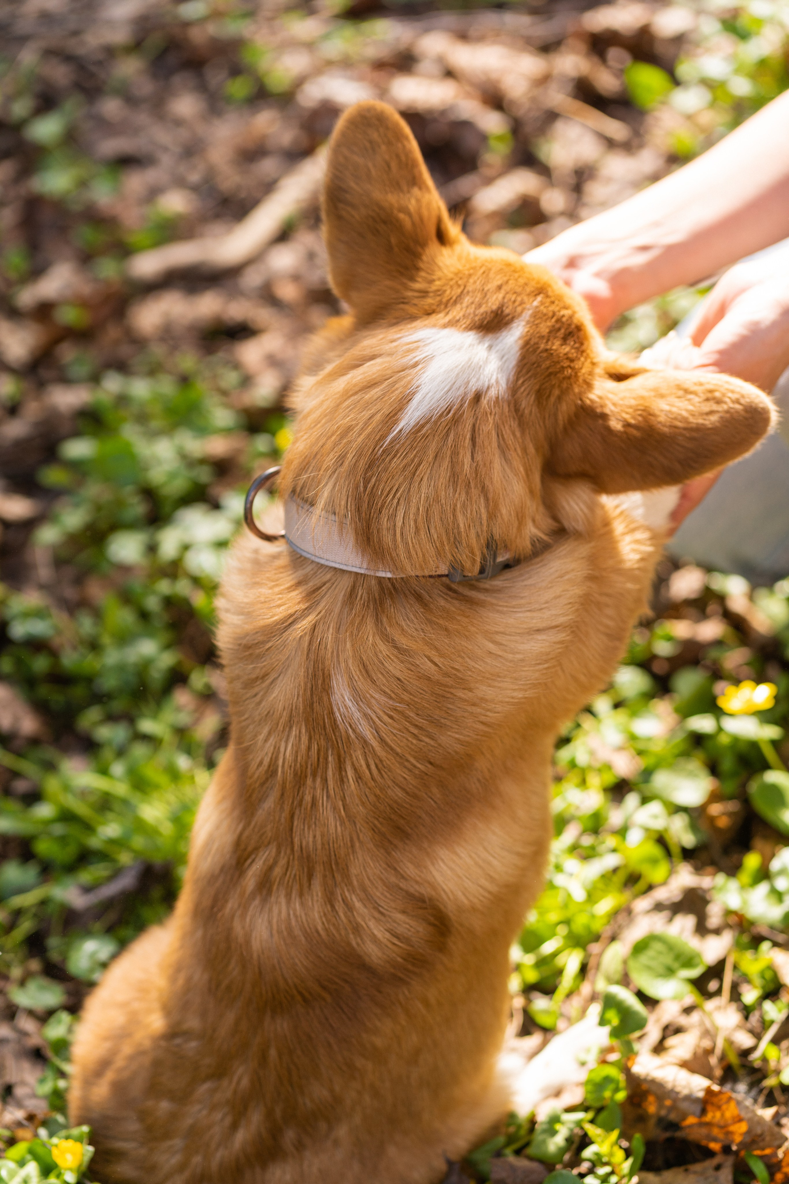 Саша, Настя, Луна. Свадебный фотограф в Москве Анна Полушина