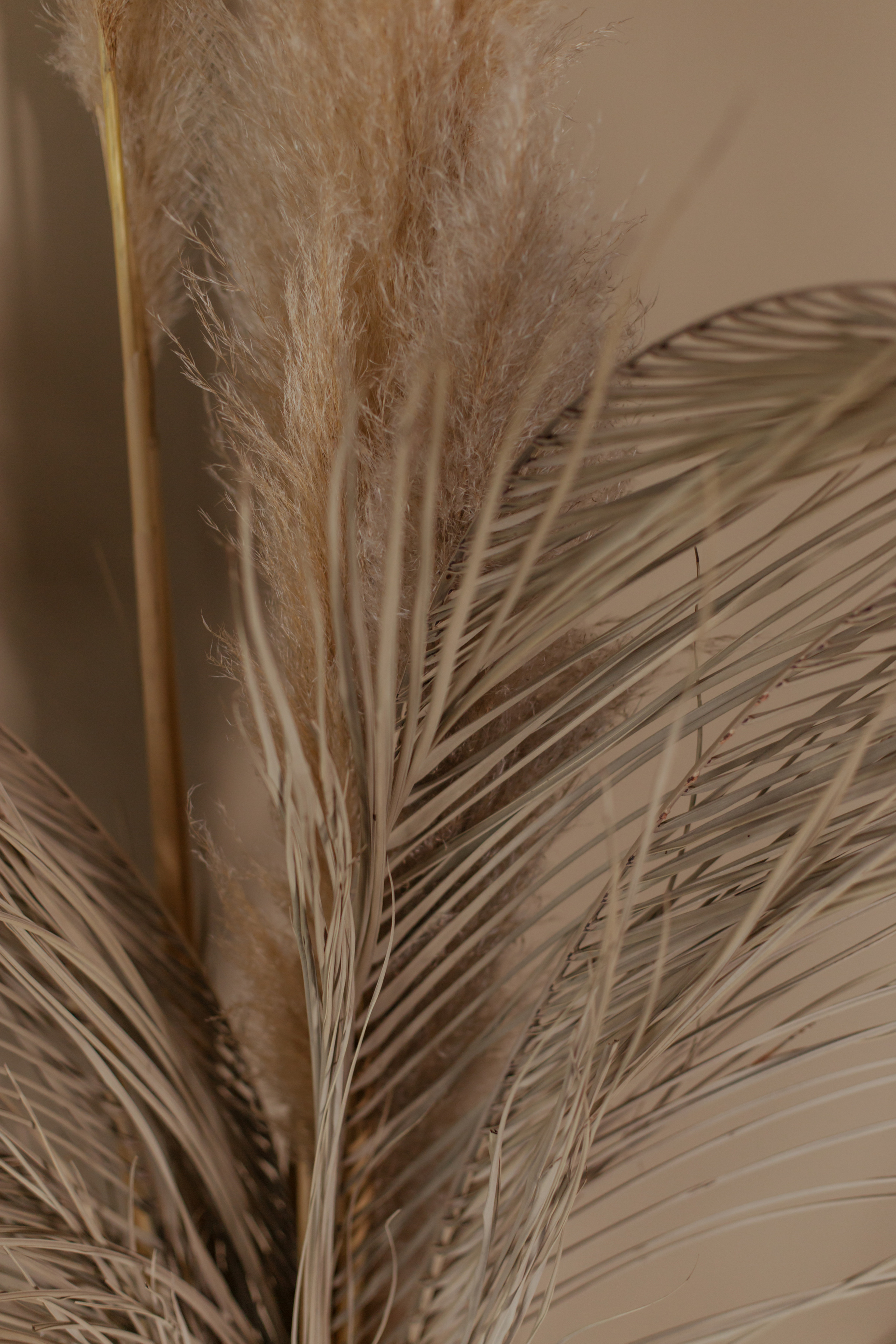 Мария. Студия. Милана Довгаль - семейный фотограф и видеограф  в Адлере и Сочи