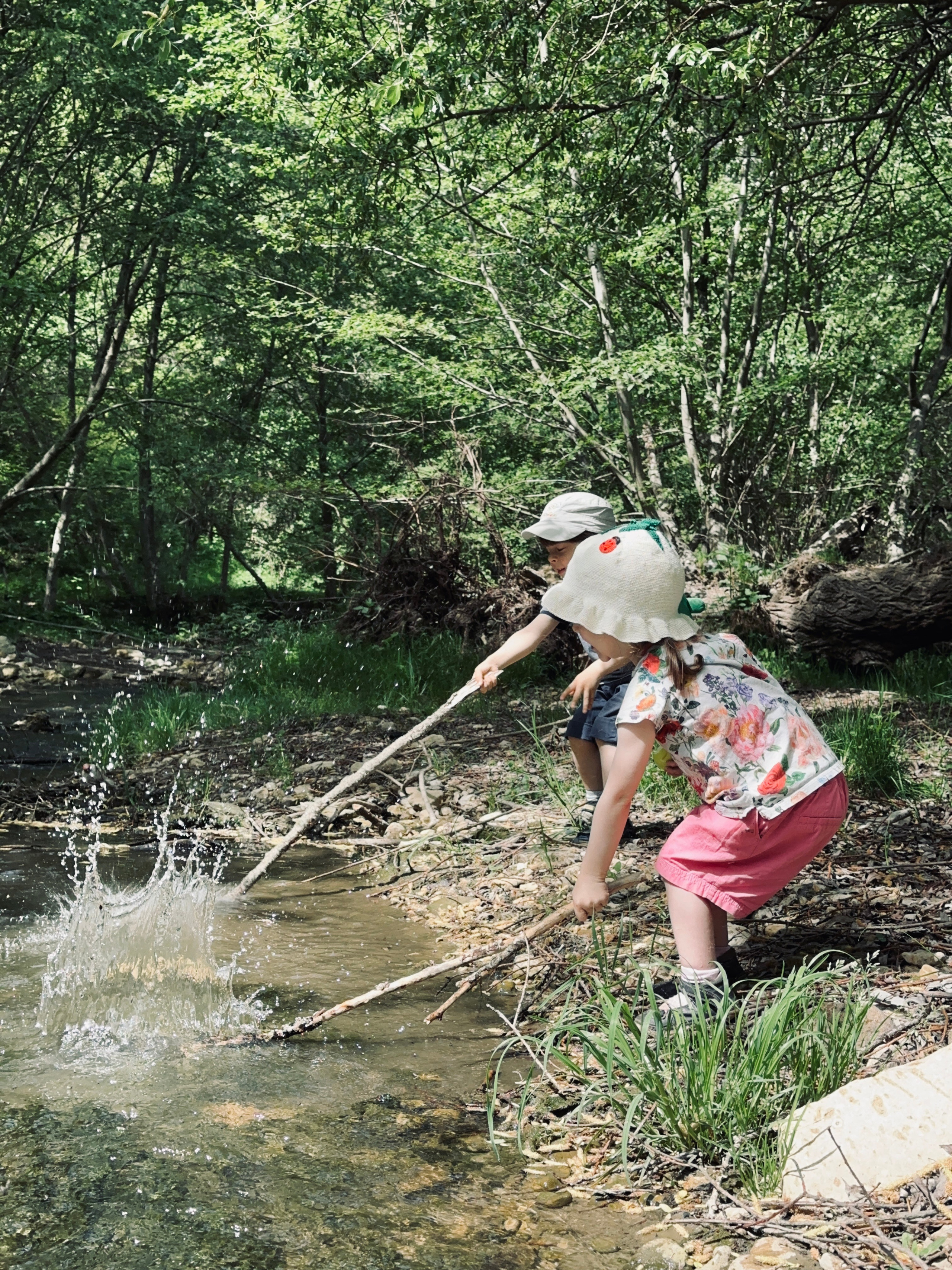 Дети. Смотри, красота!