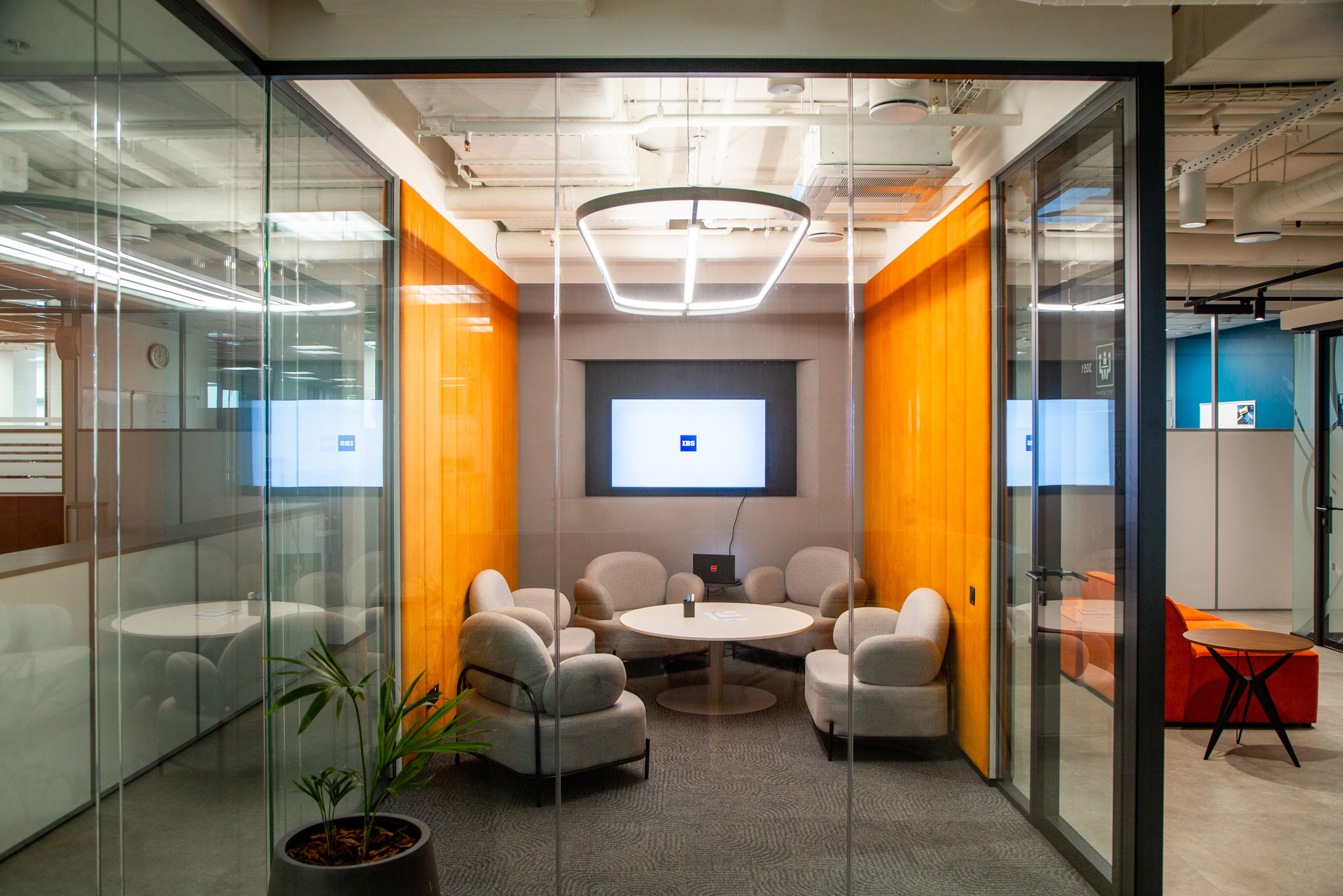 IBS. Фотограф Оля Батист