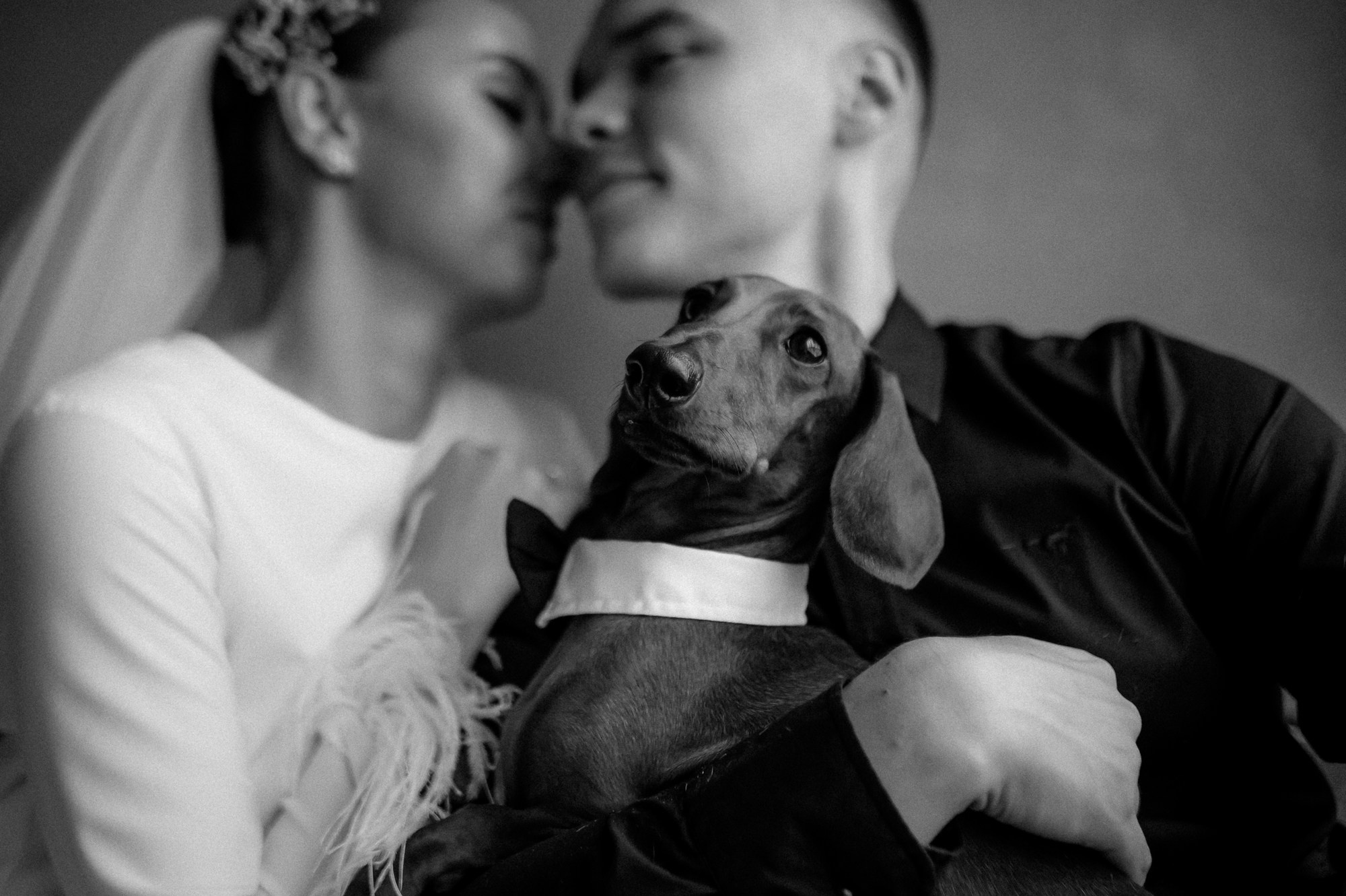 ЧЁРНО-БЕЛАЯ ИСТОРИЯ. Свадебный фотограф в Ставрополе Сергей Шляхов