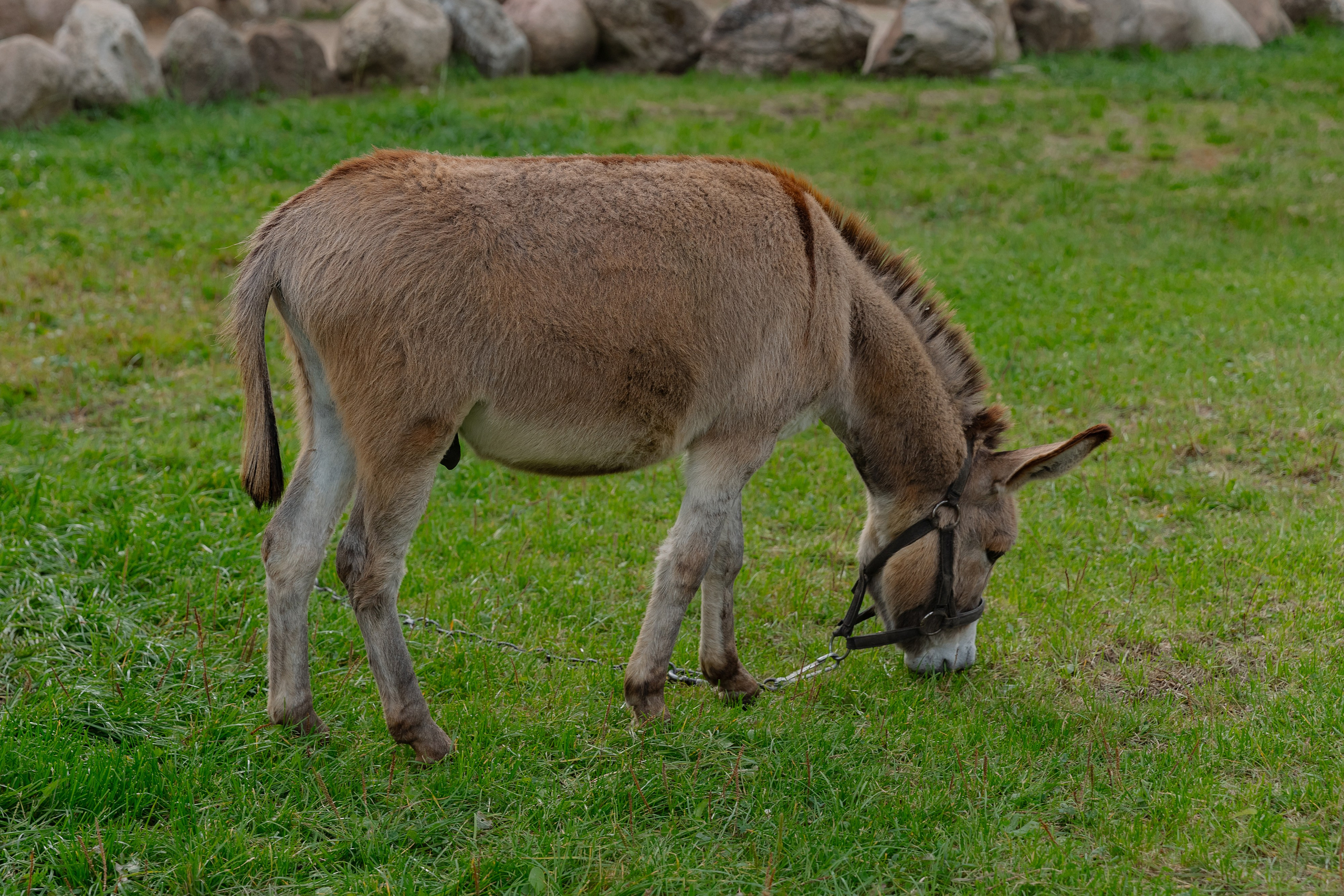 Корпоративная фотосъемка для ОАО Белагропромбанк в Суле в Загородном комплексе Westa. Свадебный фотограф в Минске/Беларуси Сергей Спиридонов