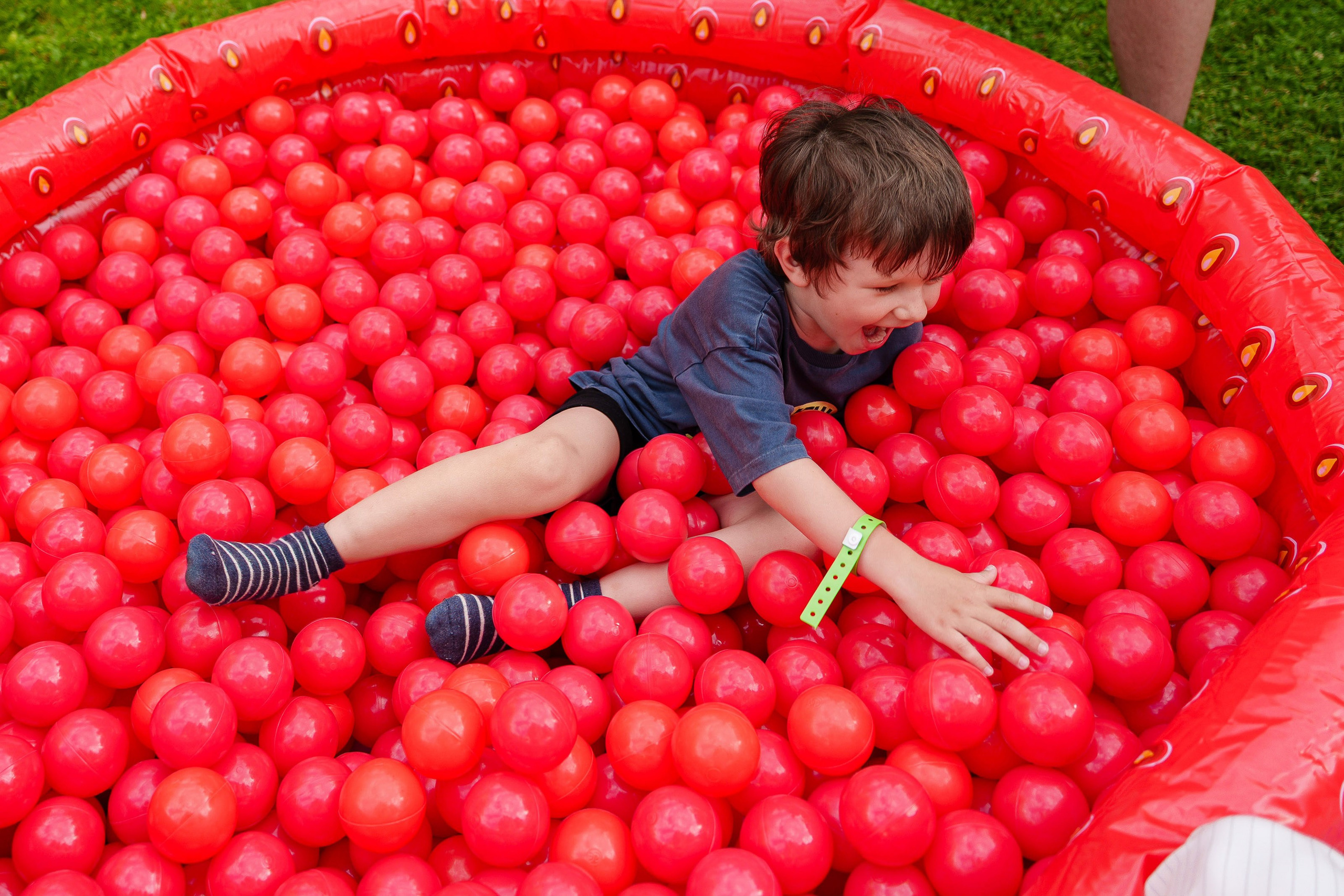 South HUB Family. South HUB