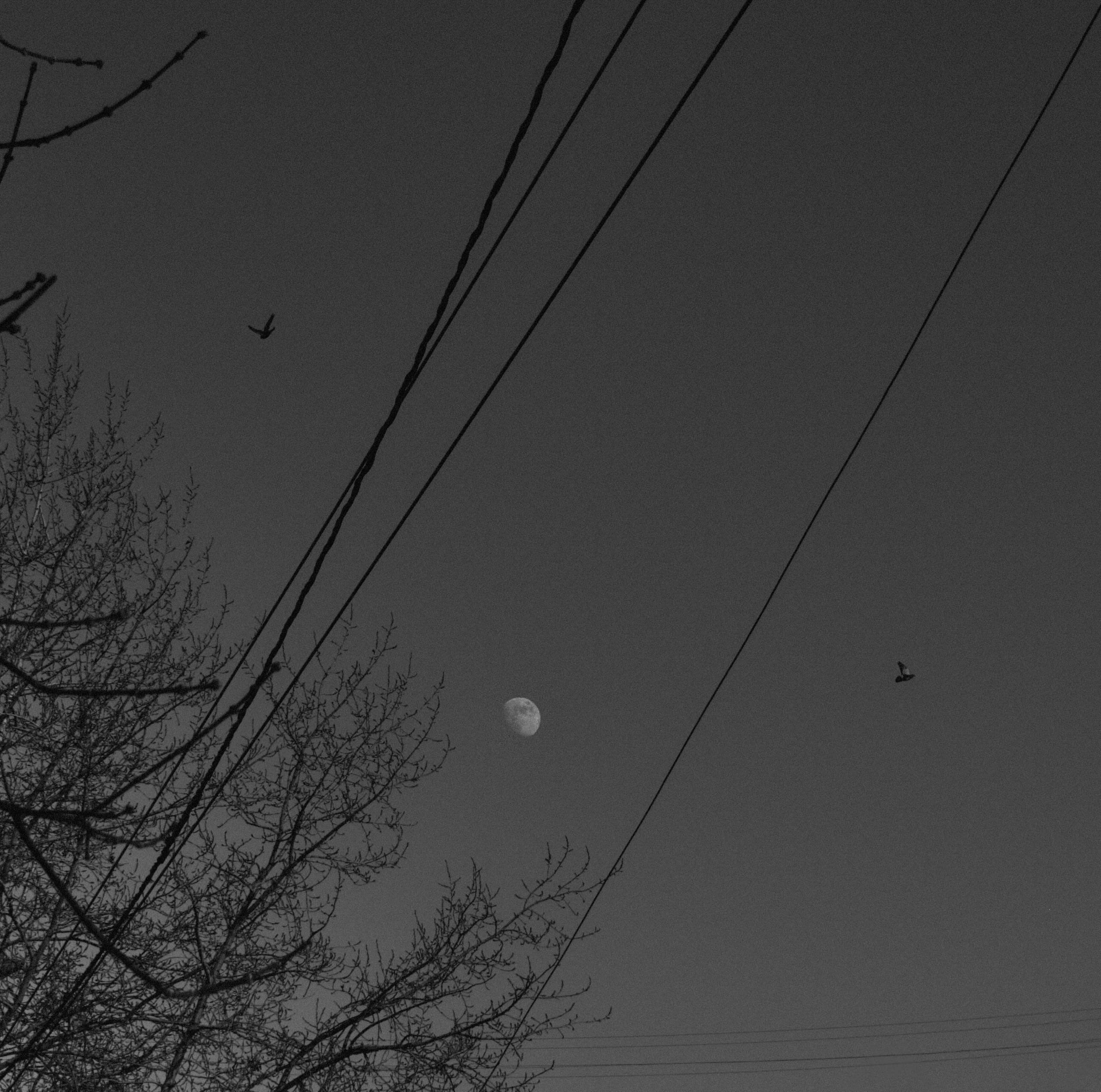 Игра КОЛОРИСТ. Международная онлайн-фотошкола Сергея Рожнова