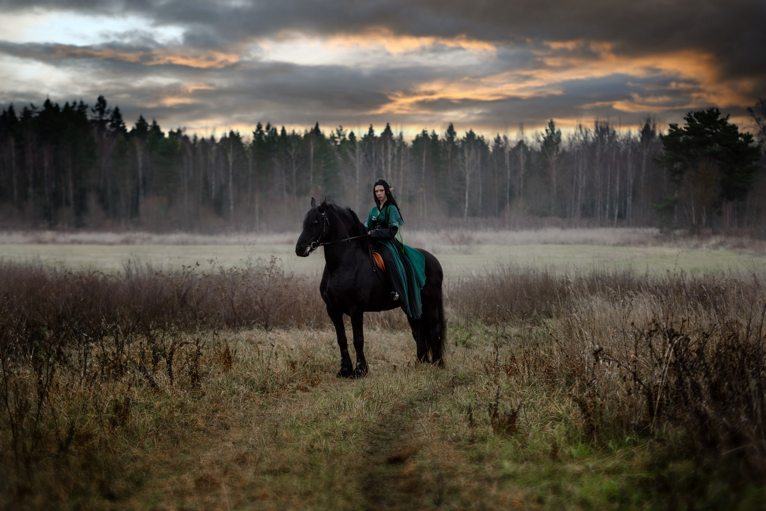 Природа. Съемки в стиле Goblicore и прочая нечисть. Конный фотограф из Москвы Ирина Бондаркова
