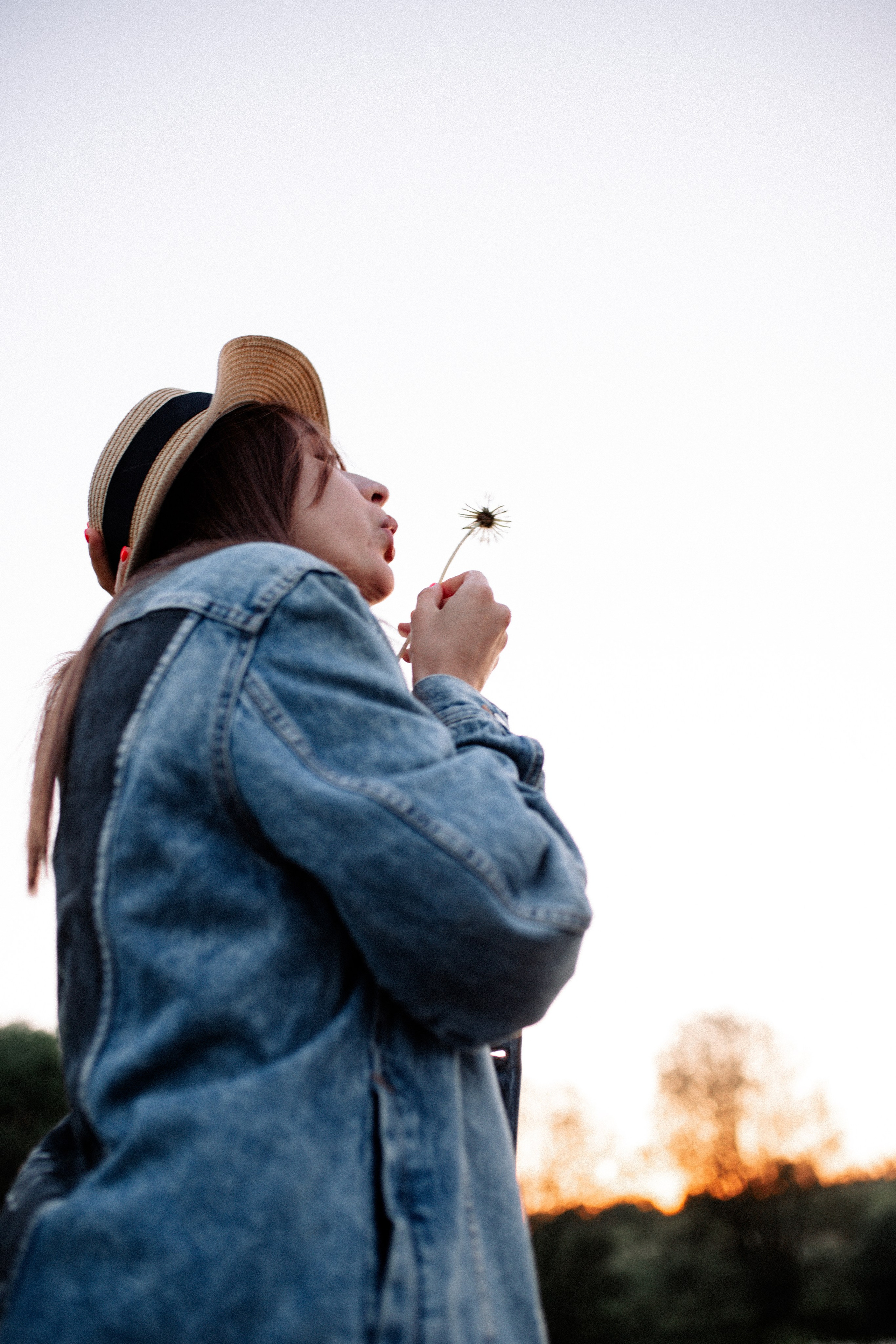 Рассветная история