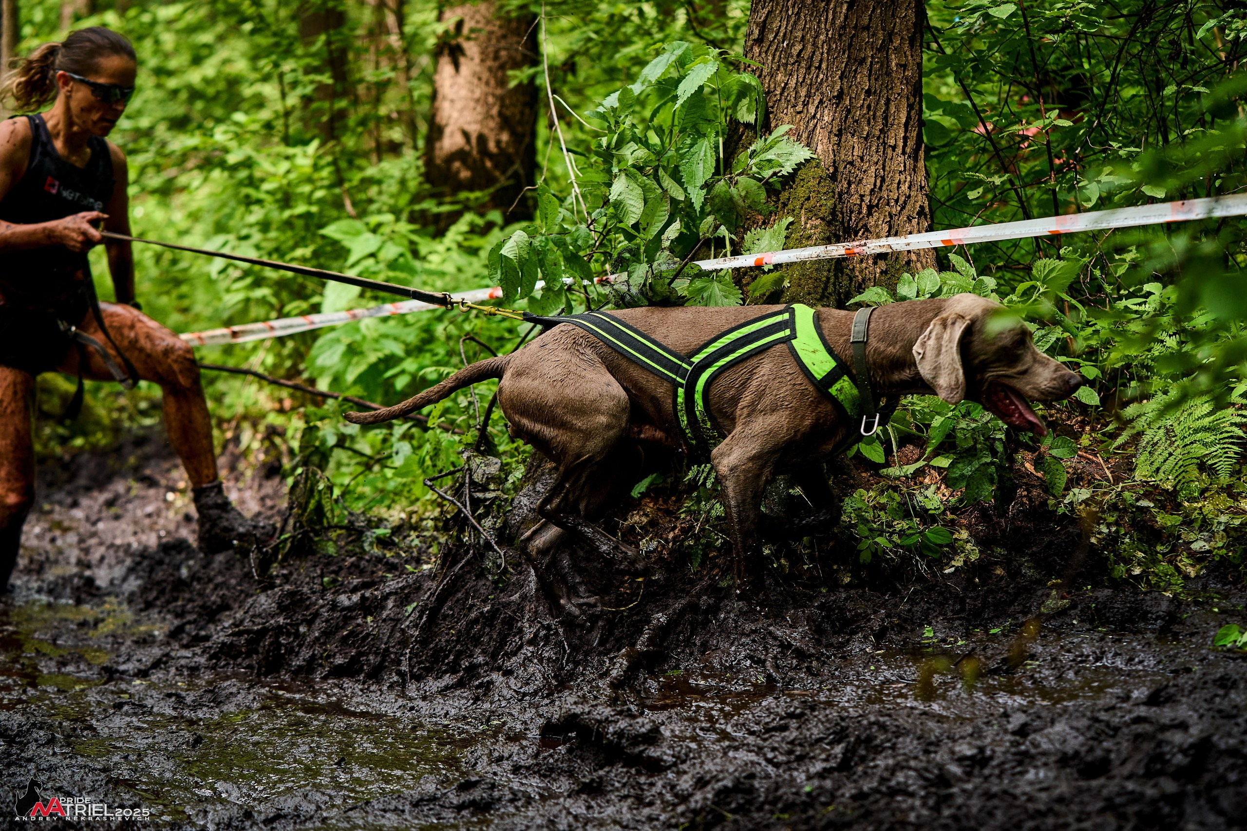 Russian Extreme Dog Trail — 2025