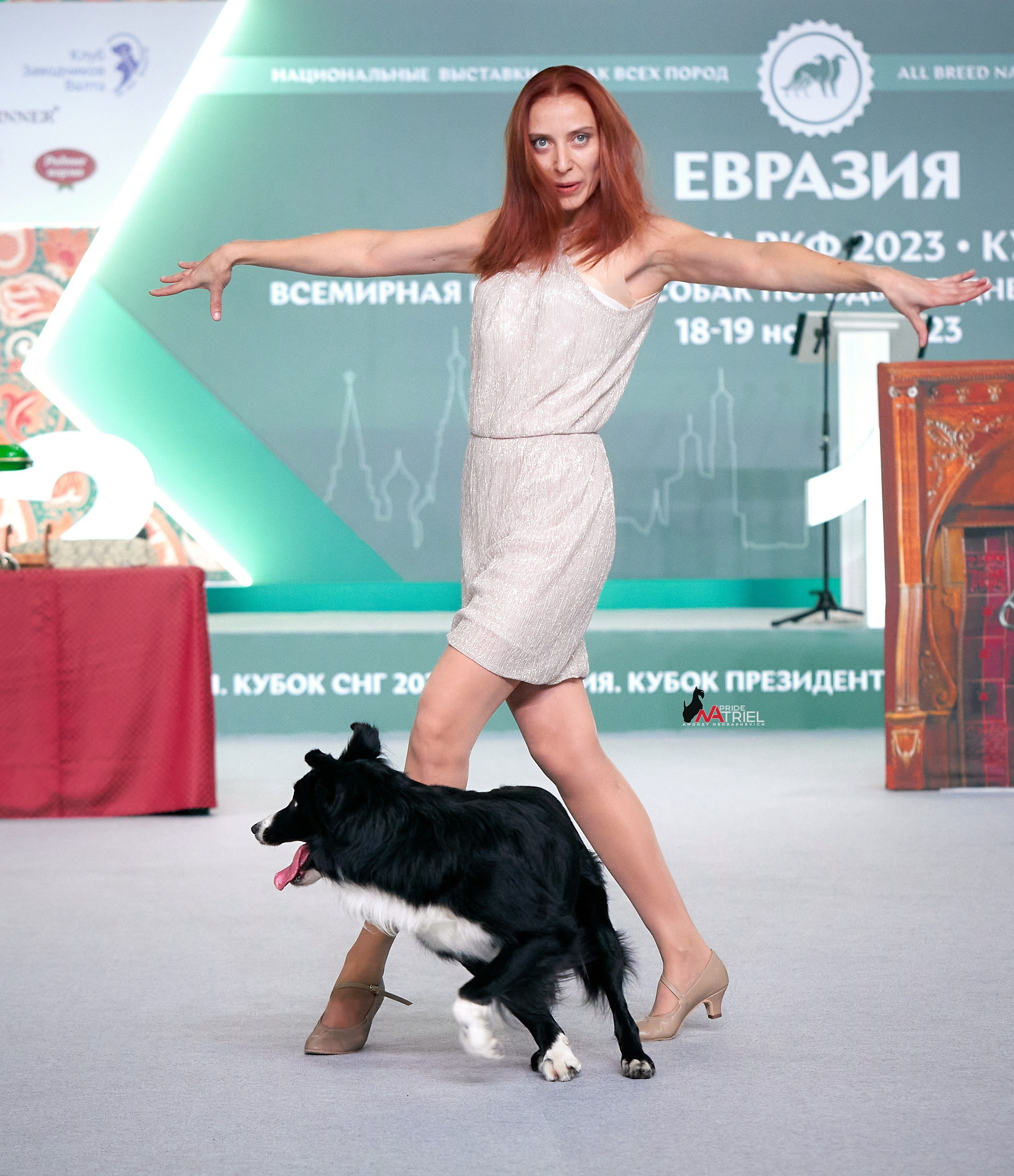 Обидиенс и танцы с собаками — галерея NATRIEL