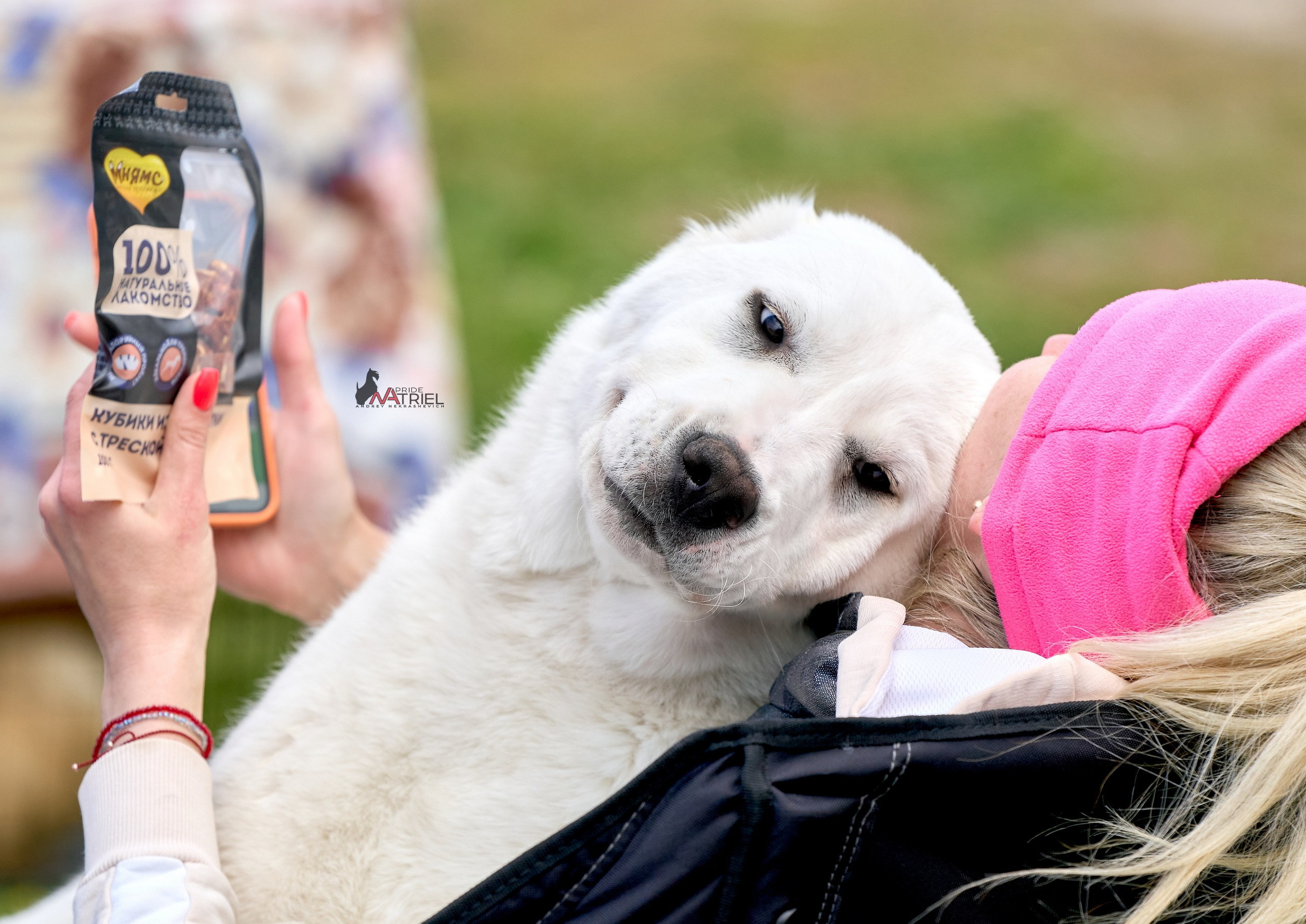 Картинки с выставки — галерея NATRIEL