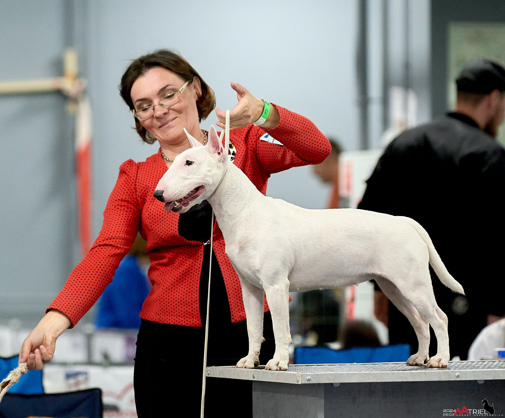 Съемка на выставке в Сфере