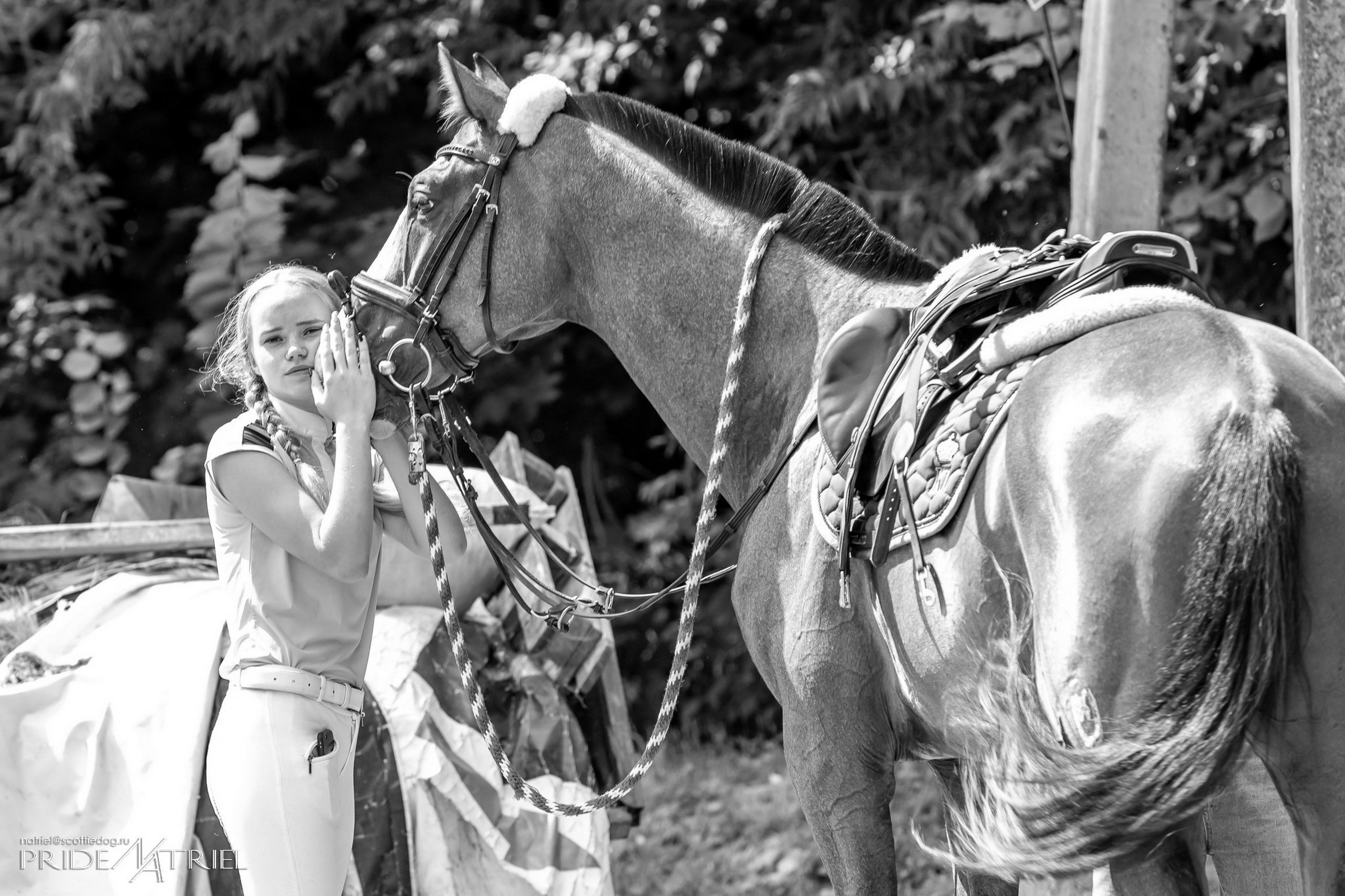 Соревнования на лошадях — галерея NATRIEL