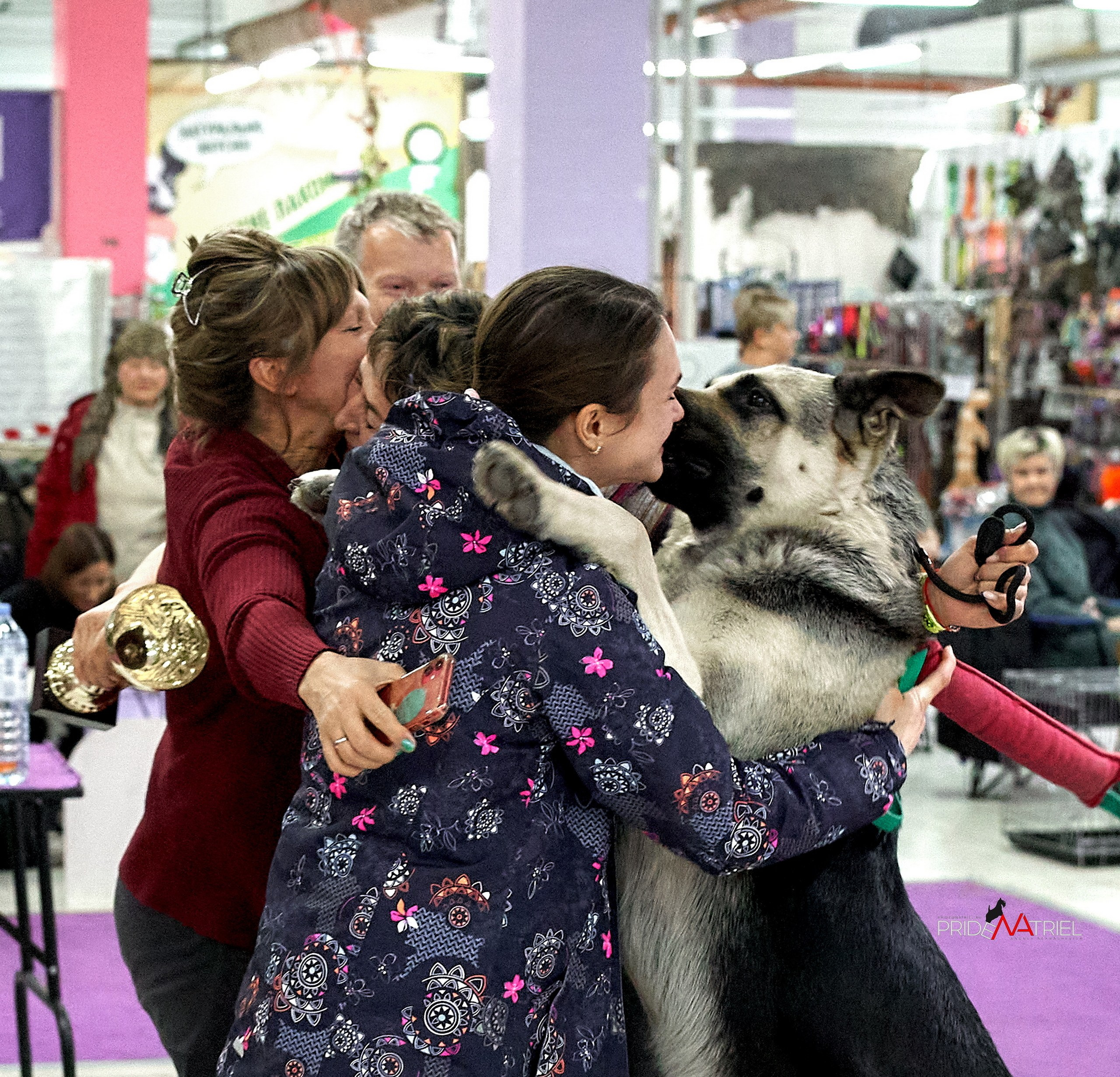 Призовые места — галерея NATRIEL